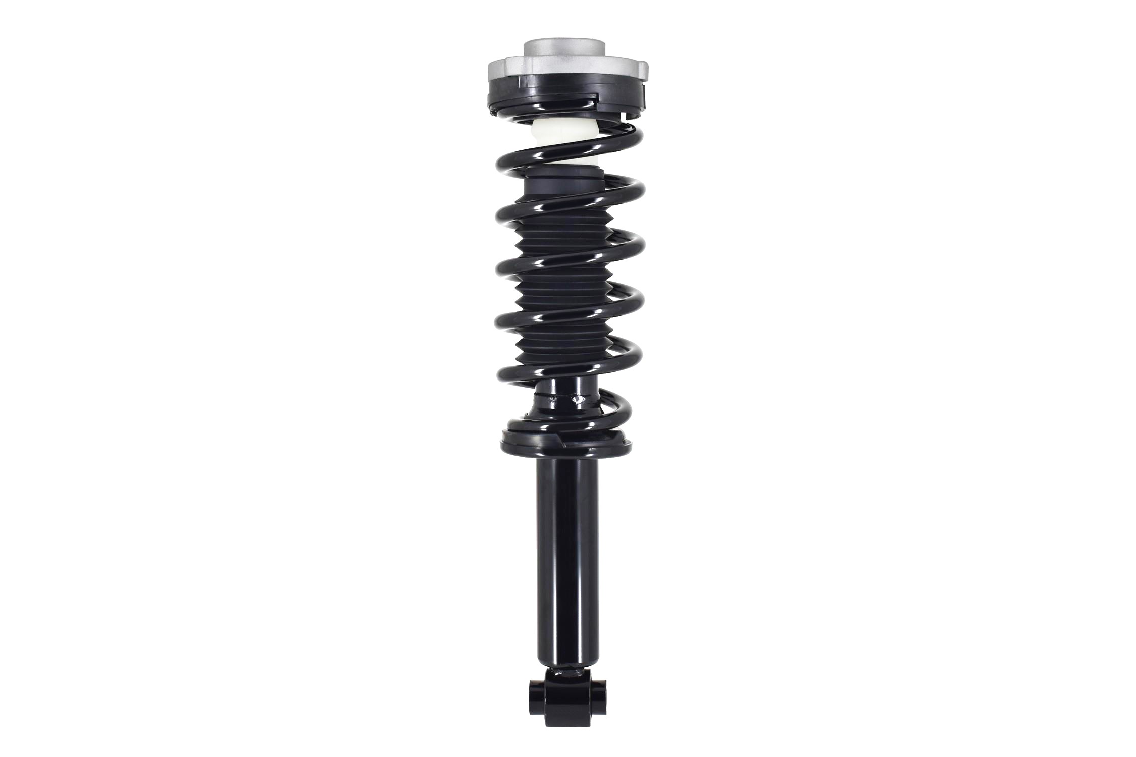 Suspension Strut and Coil Spring Assembly