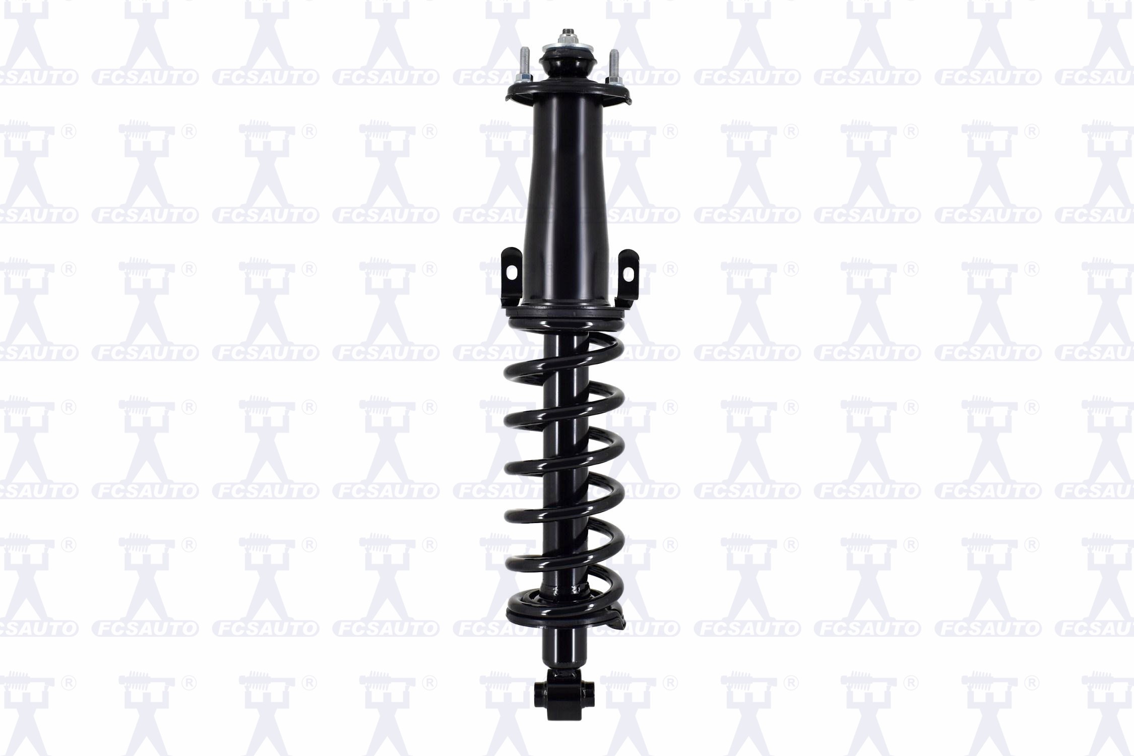 Suspension Strut and Coil Spring Assembly
