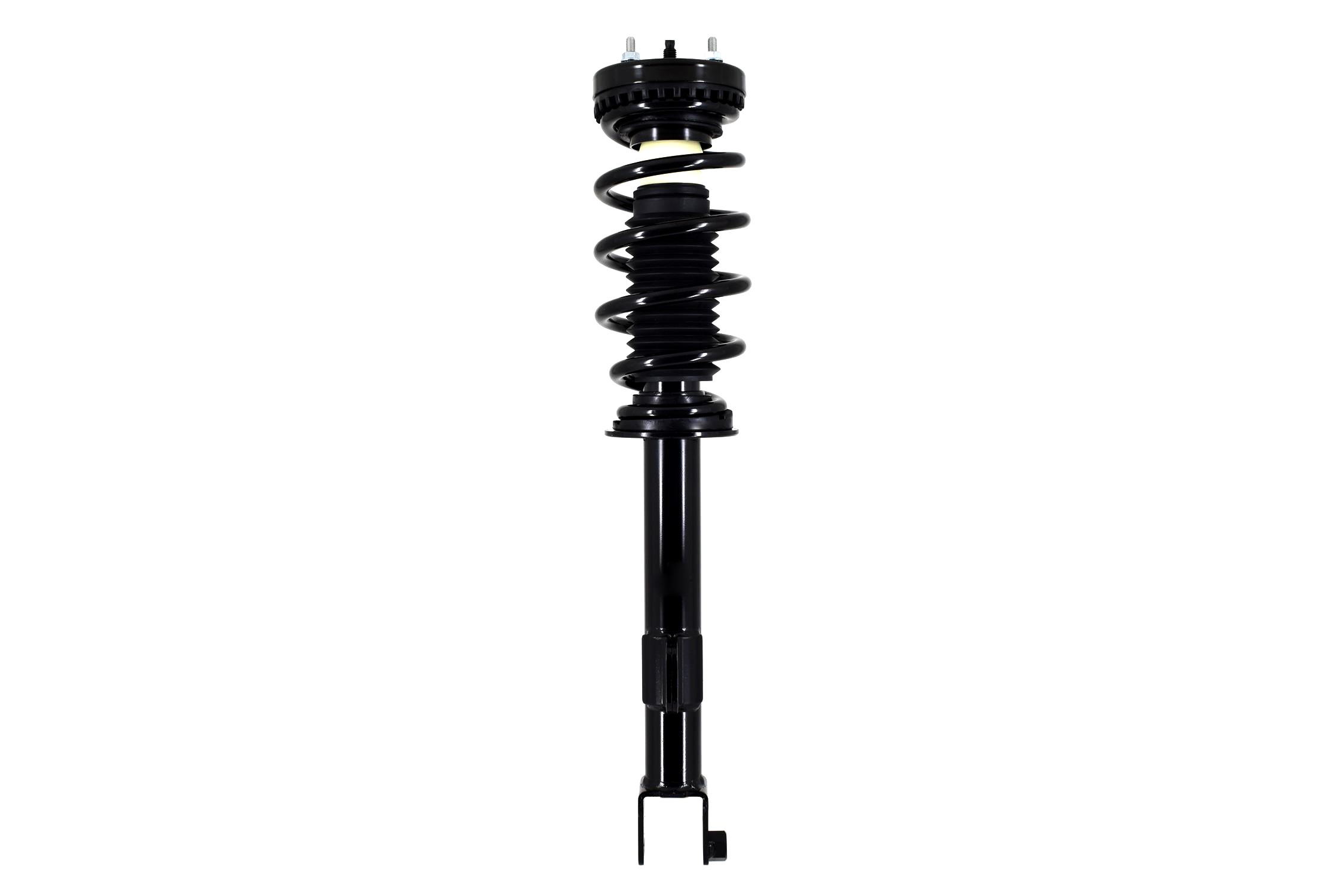 Suspension Strut and Coil Spring Assembly