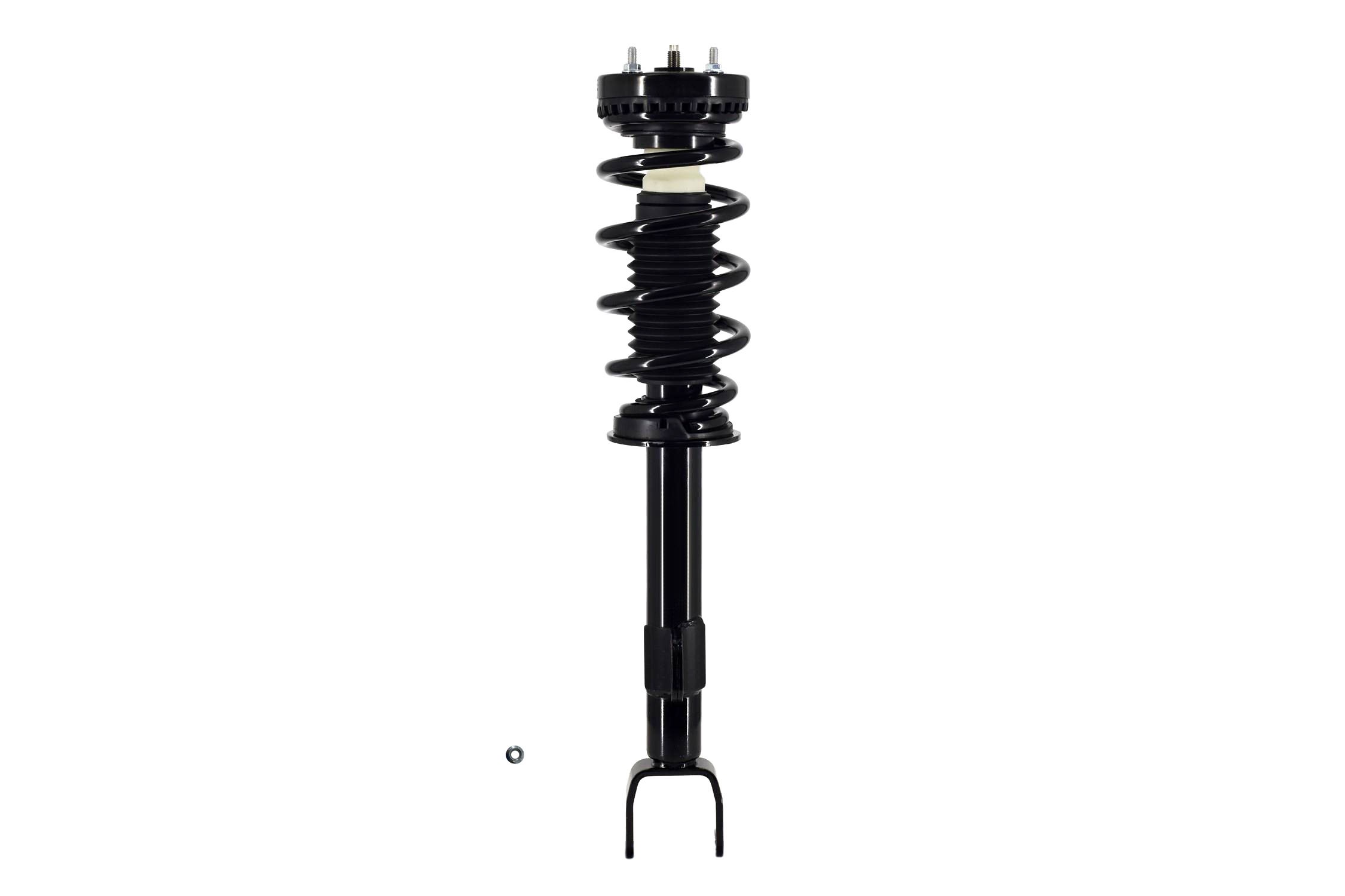 Suspension Strut and Coil Spring Assembly