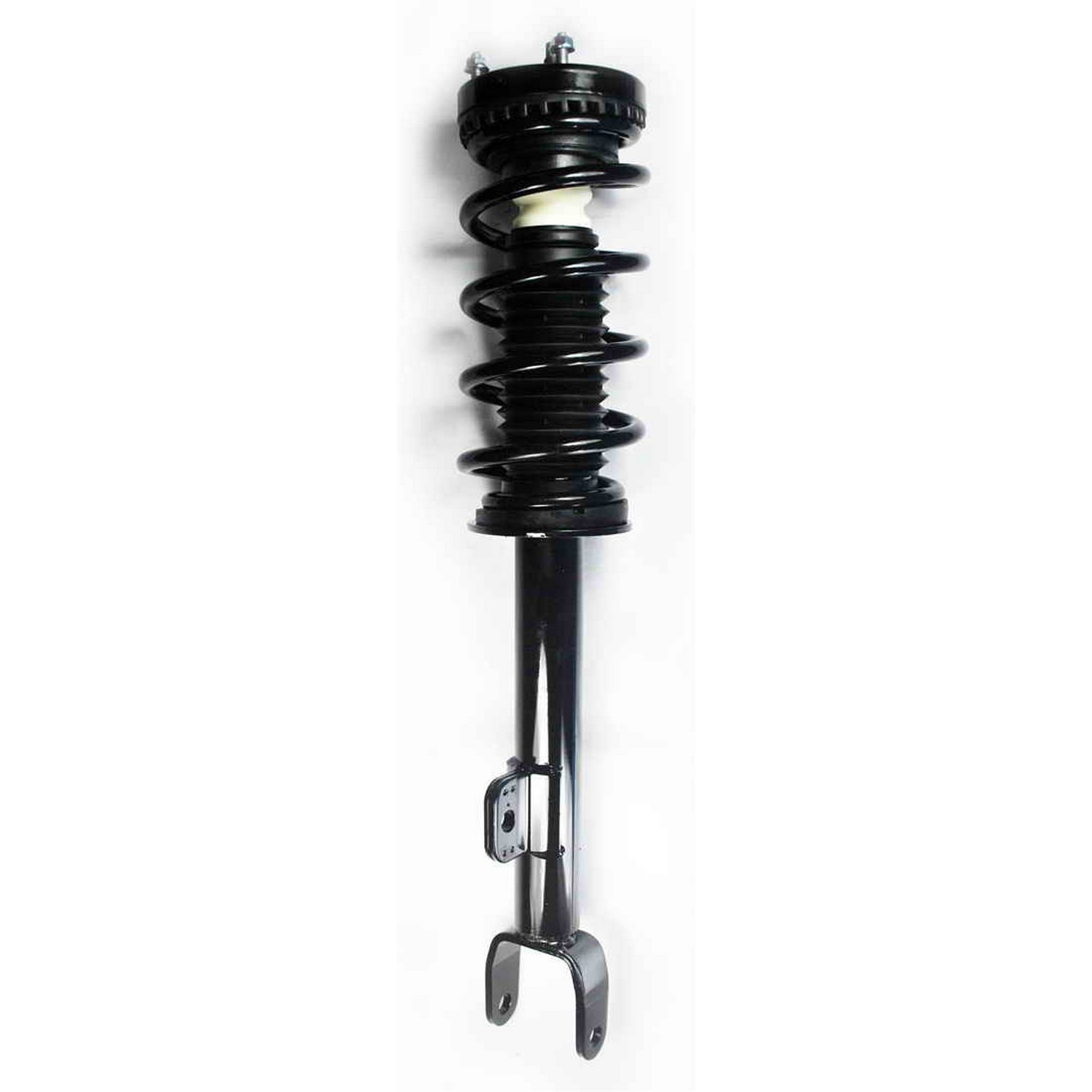 Suspension Strut and Coil Spring Assembly