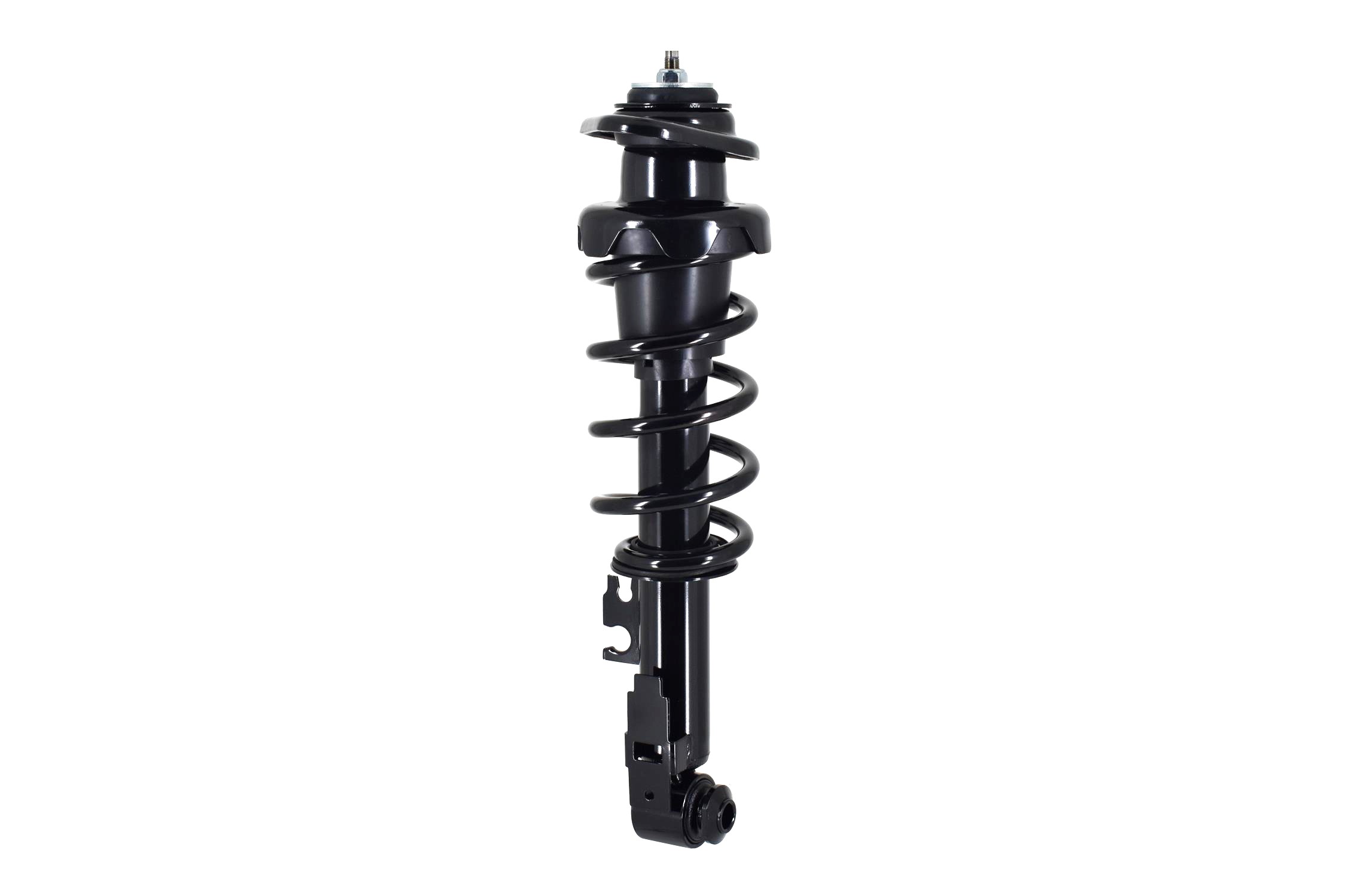 Suspension Strut and Coil Spring Assembly