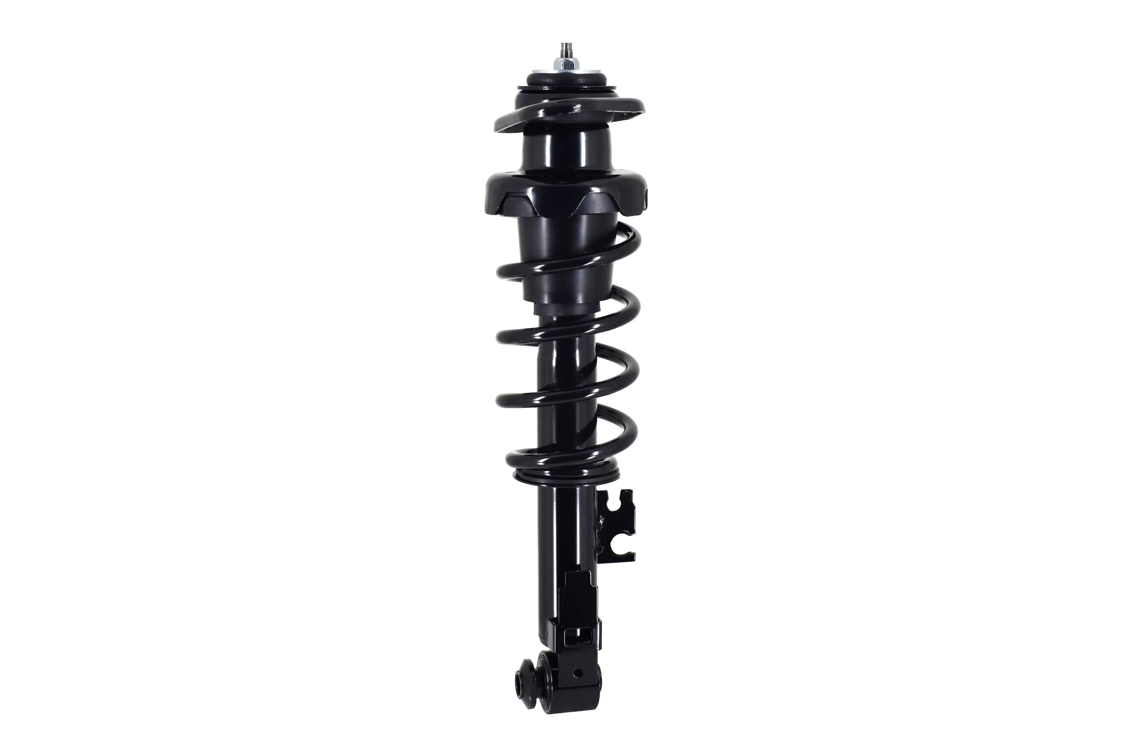 Suspension Strut and Coil Spring Assembly
