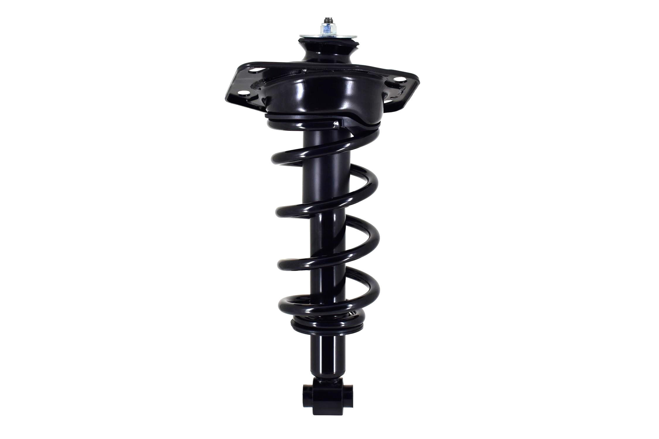 Suspension Strut and Coil Spring Assembly