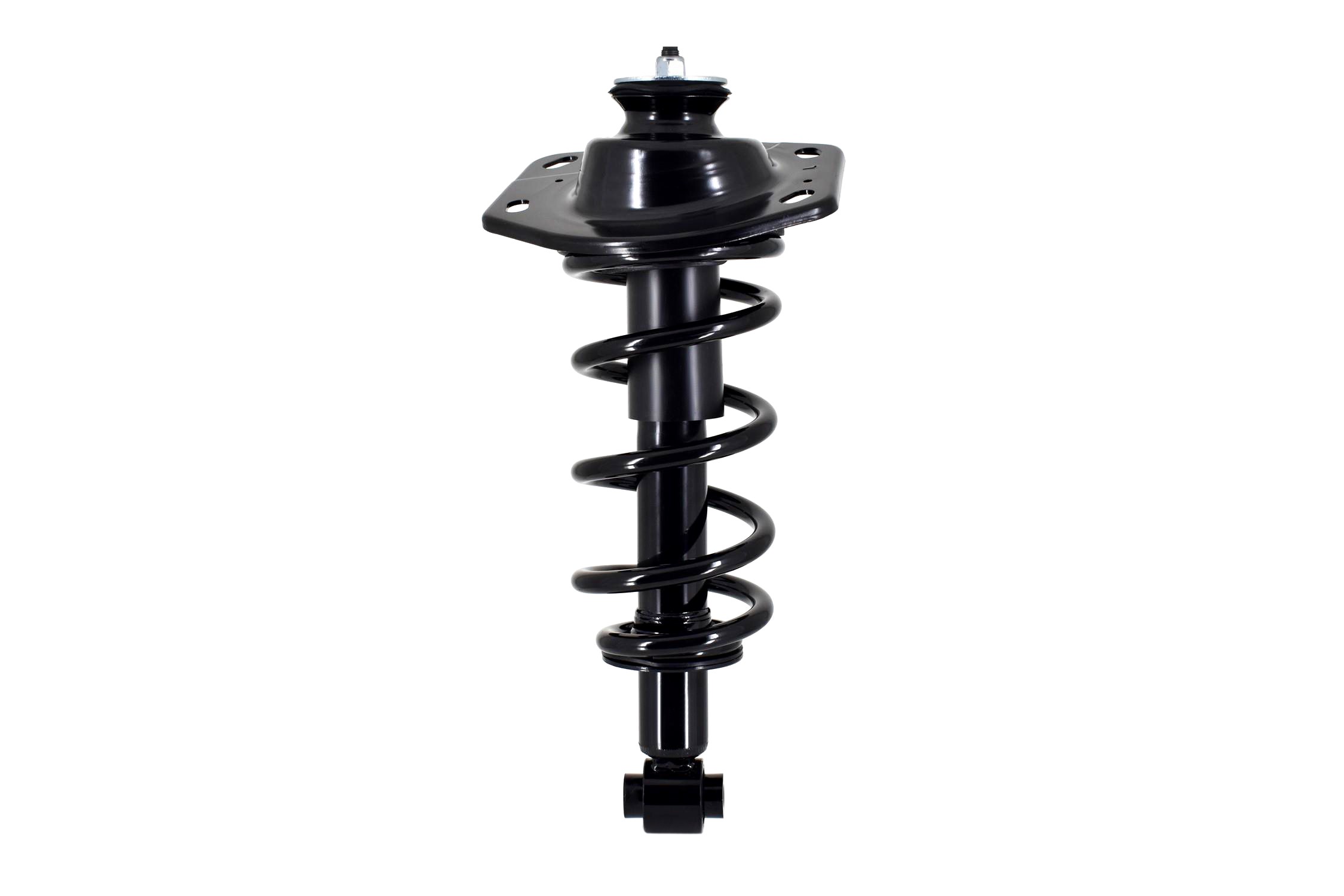 Suspension Strut and Coil Spring Assembly