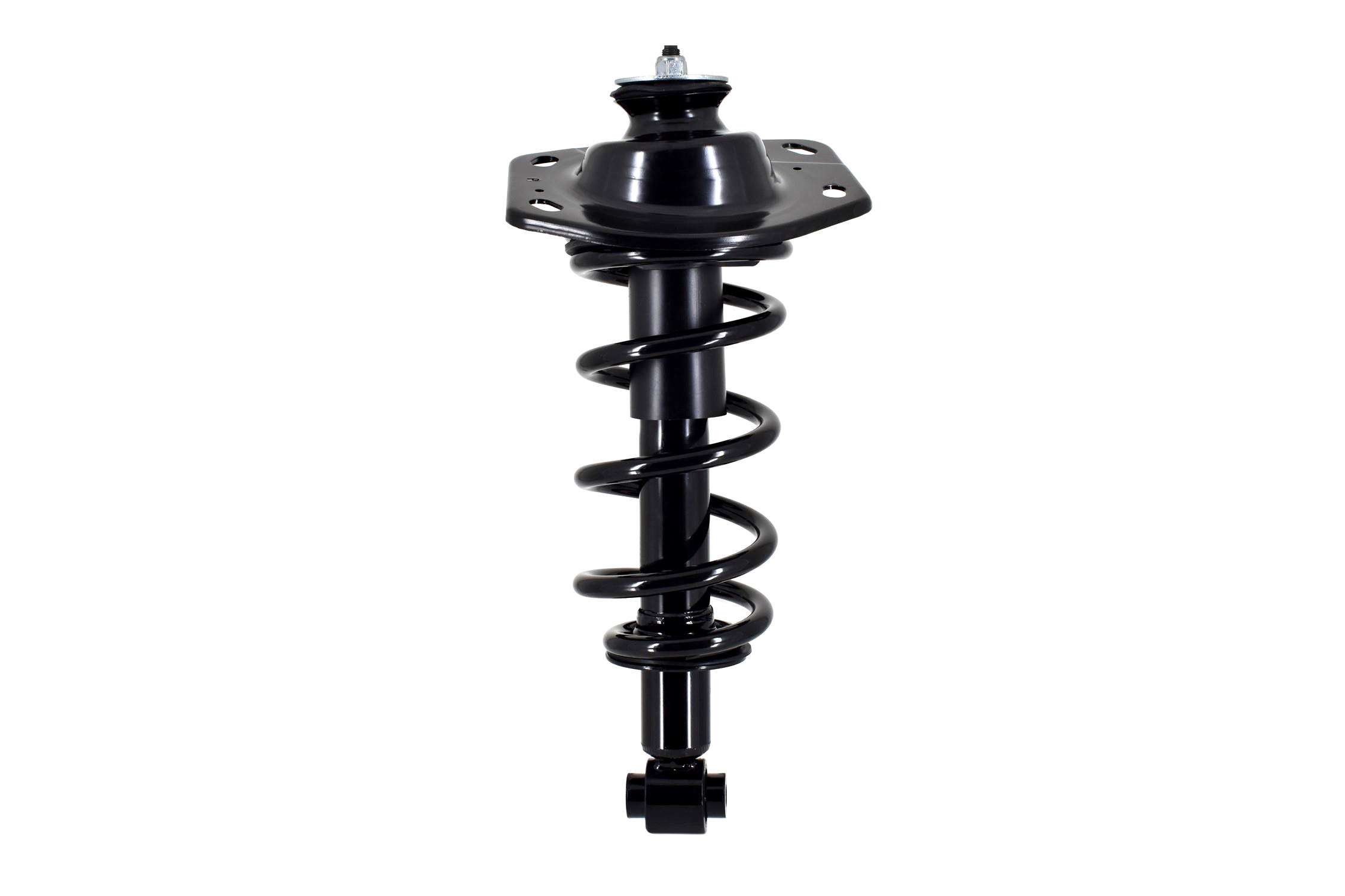 Suspension Strut and Coil Spring Assembly