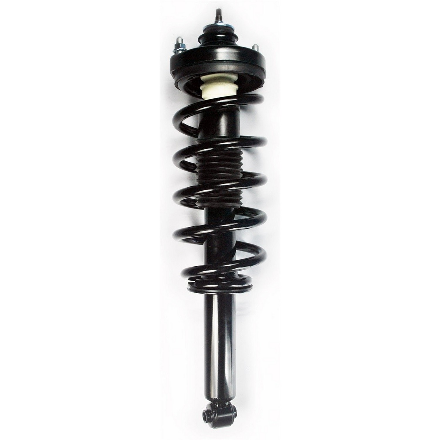 Suspension Strut and Coil Spring Assembly