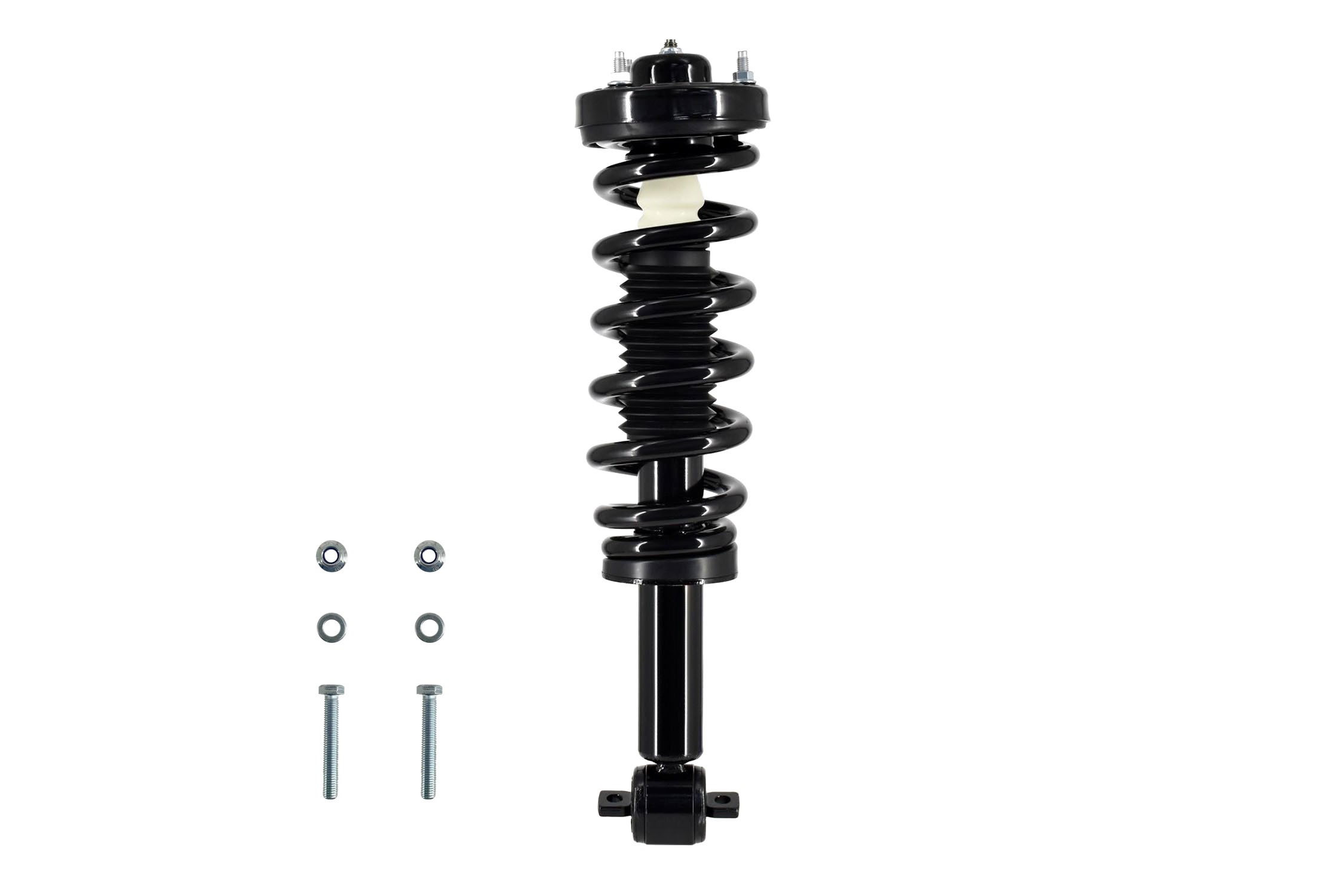 Suspension Strut and Coil Spring Assembly