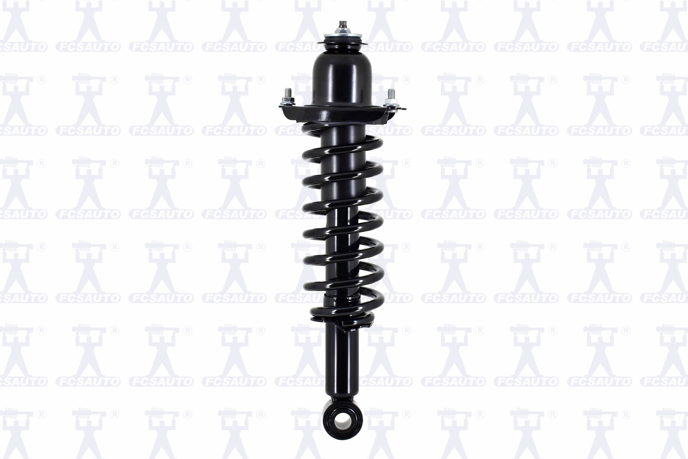 Suspension Strut and Coil Spring Assembly