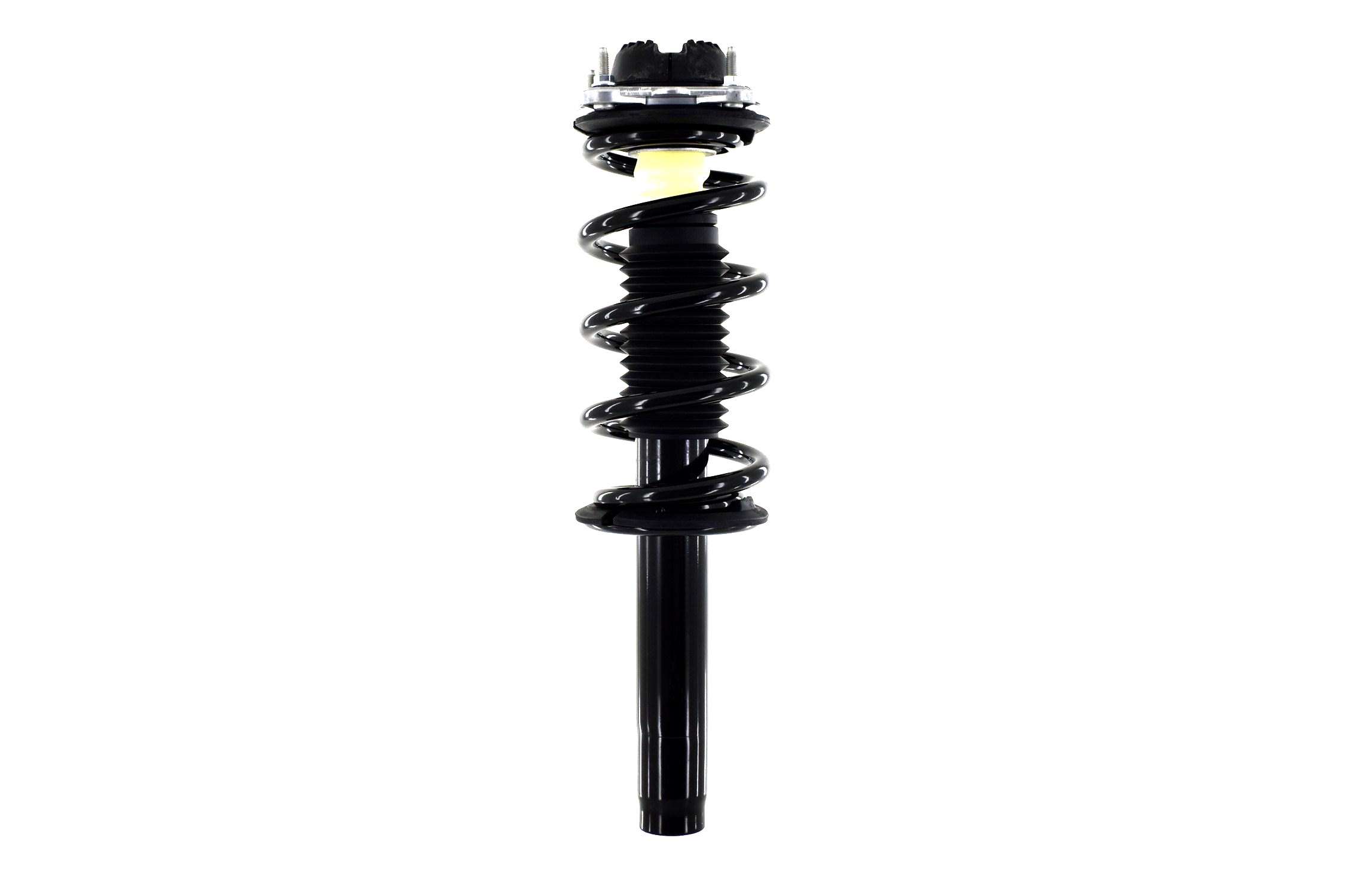 Suspension Strut and Coil Spring Assembly