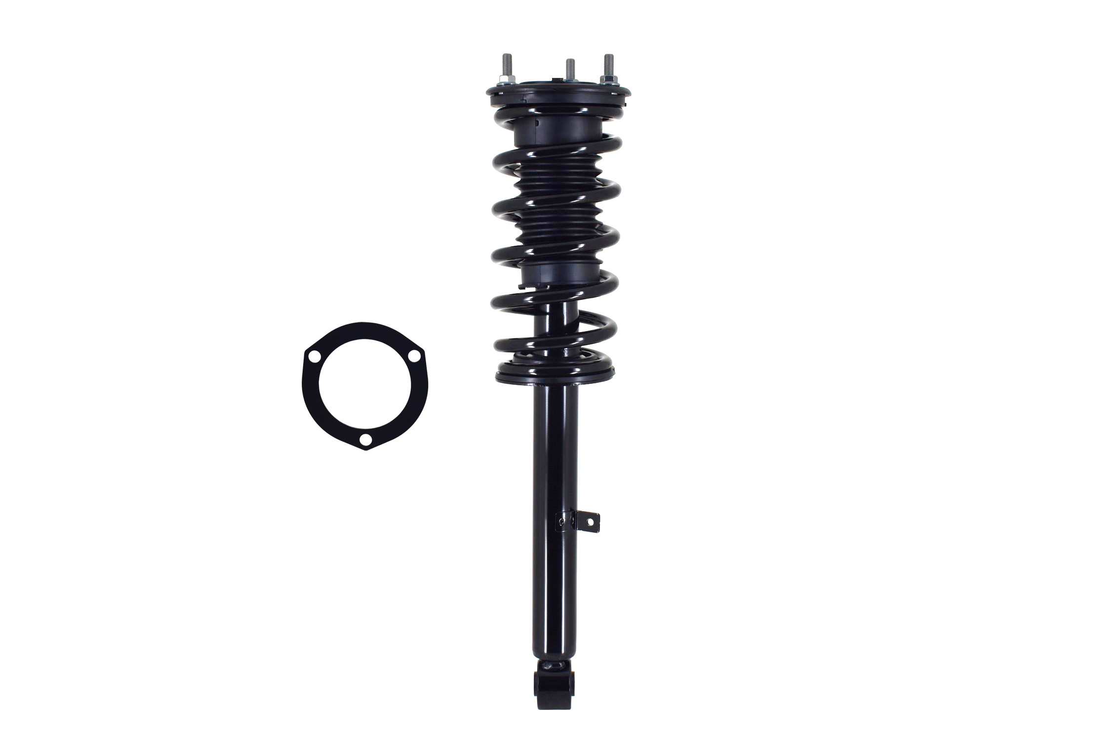 Suspension Strut and Coil Spring Assembly