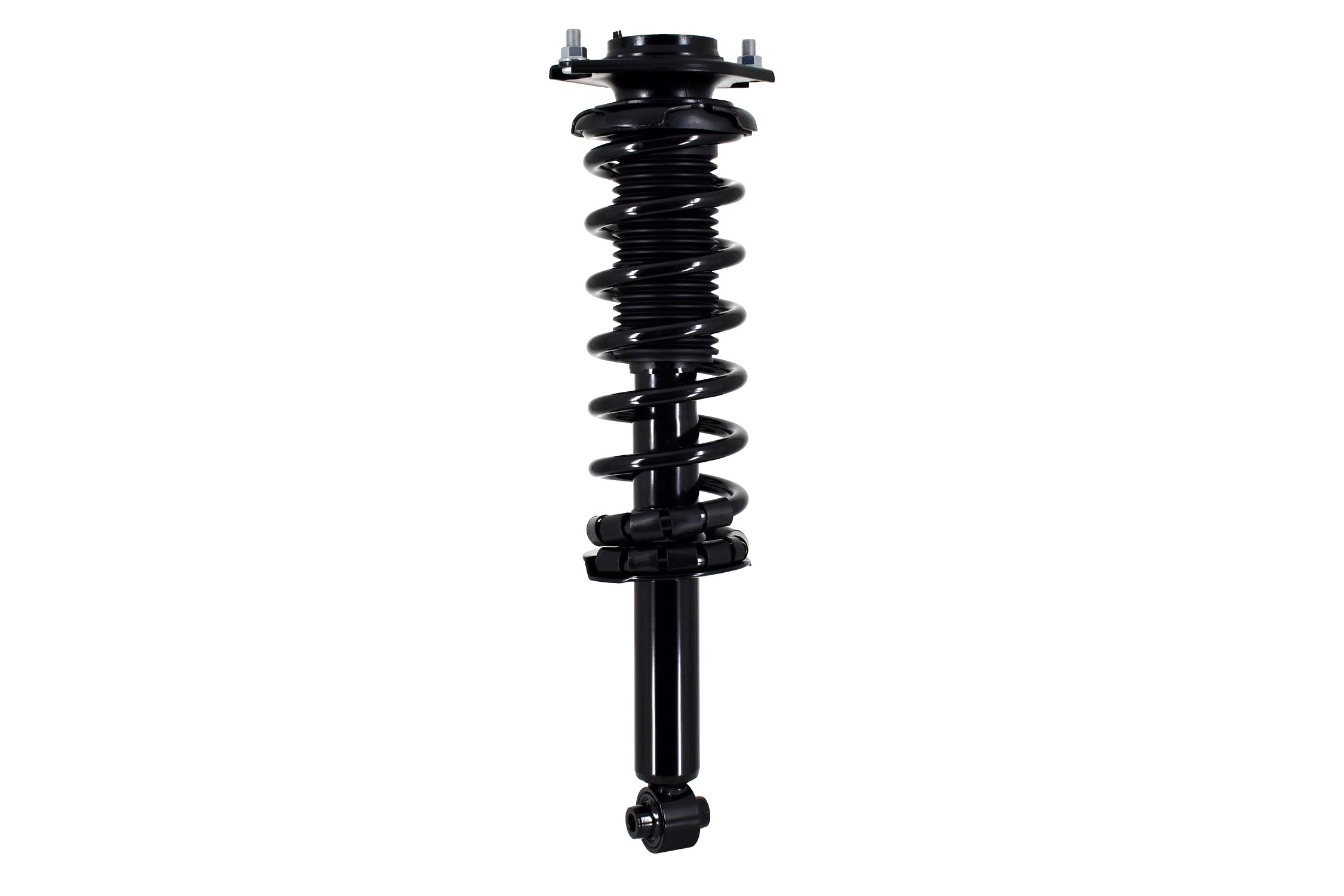 Suspension Strut and Coil Spring Assembly