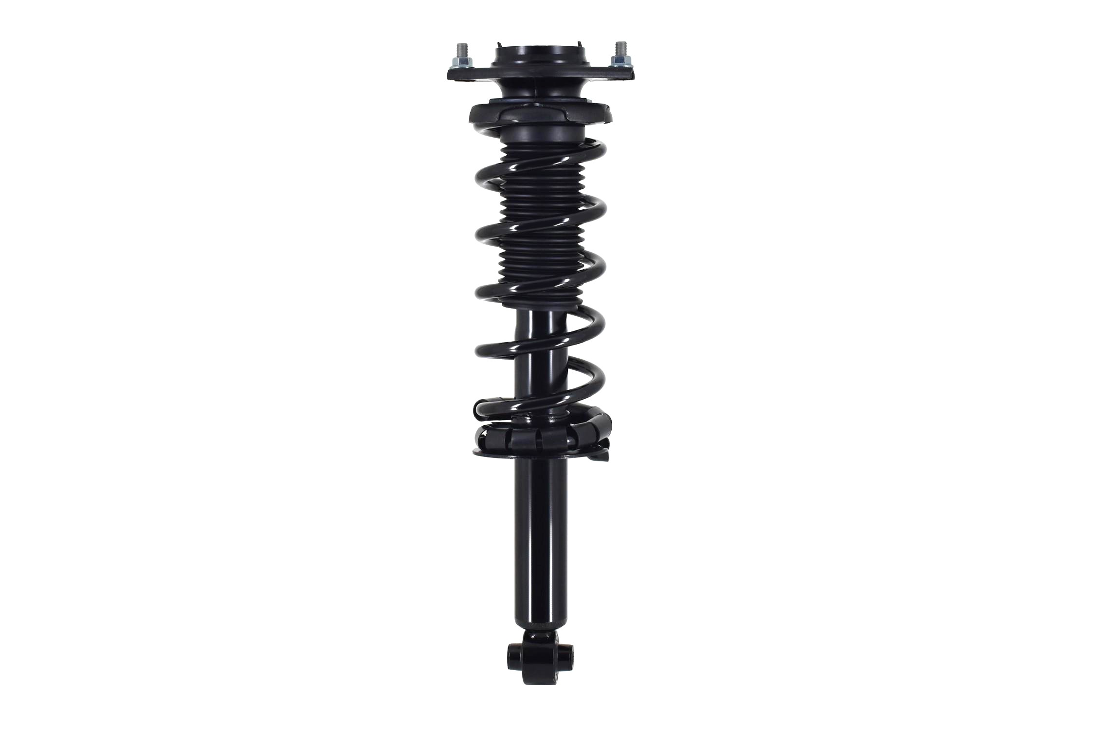 Suspension Strut and Coil Spring Assembly