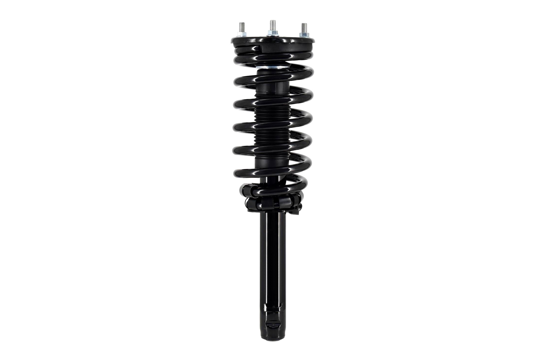 Suspension Strut and Coil Spring Assembly