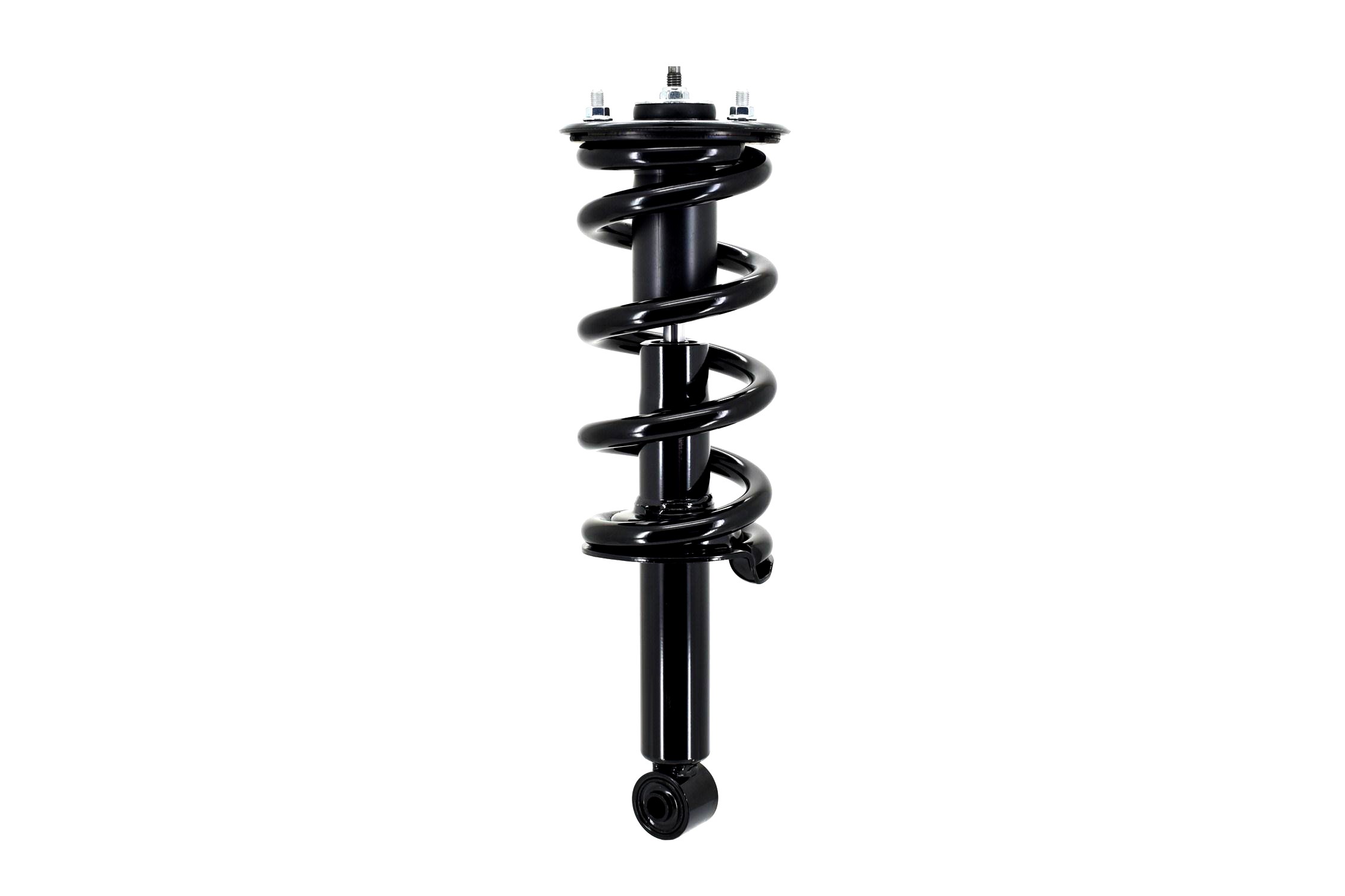Suspension Strut and Coil Spring Assembly