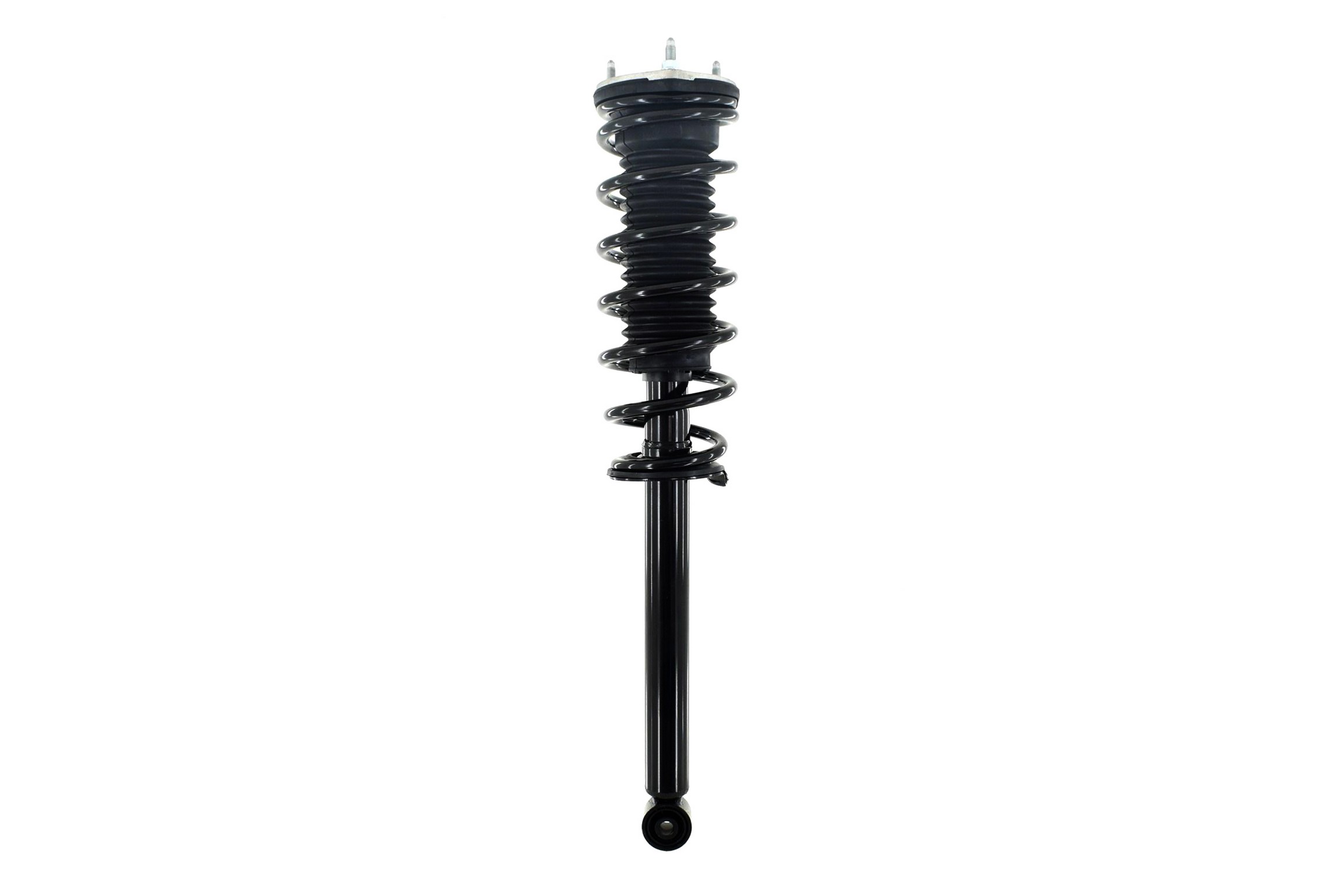 Suspension Strut and Coil Spring Assembly