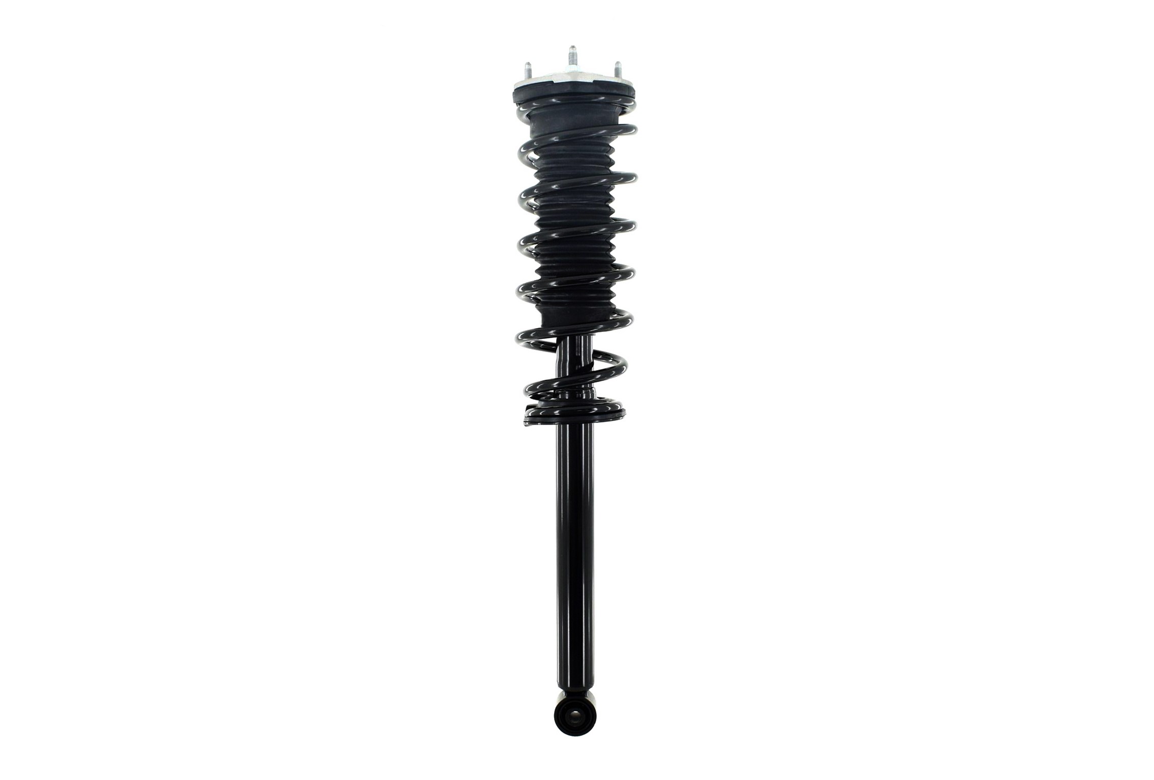 Suspension Strut and Coil Spring Assembly