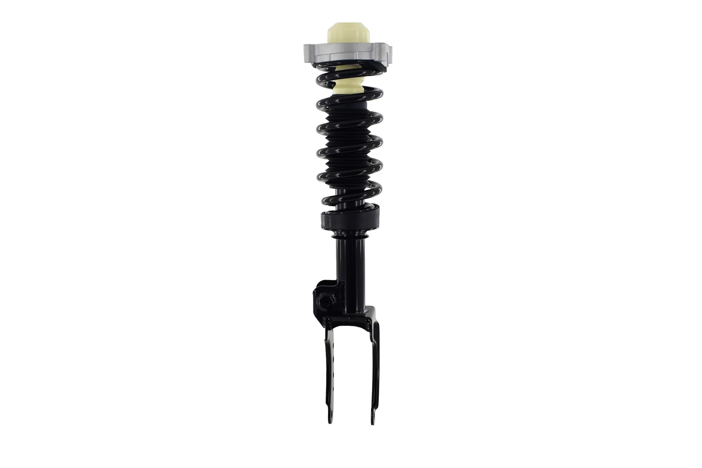 Suspension Strut and Coil Spring Assembly