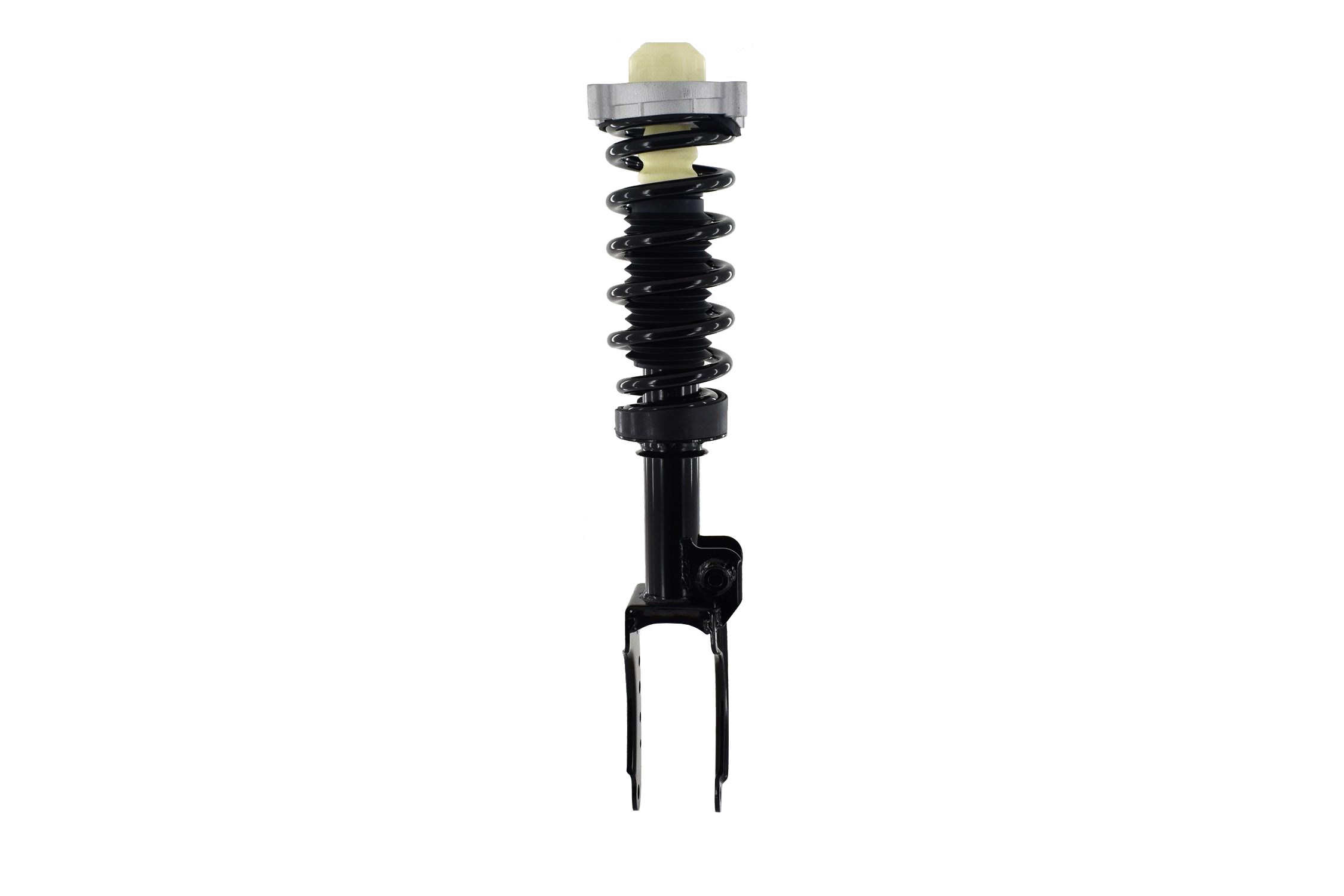 Suspension Strut and Coil Spring Assembly