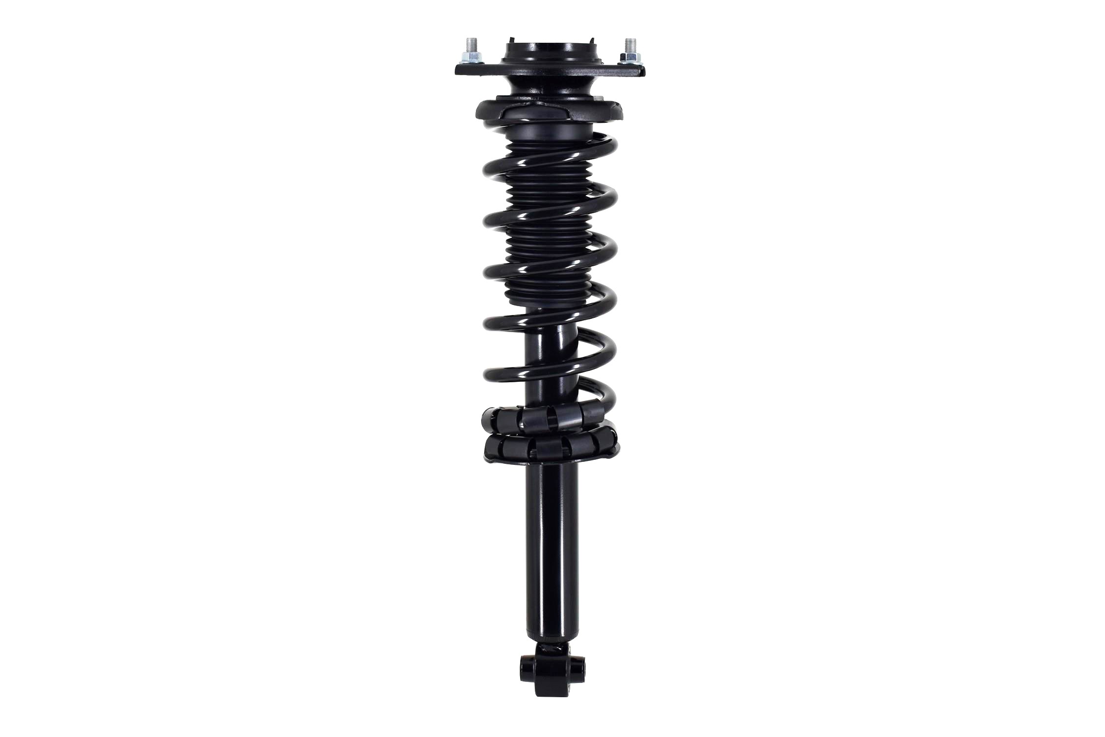 Suspension Strut and Coil Spring Assembly