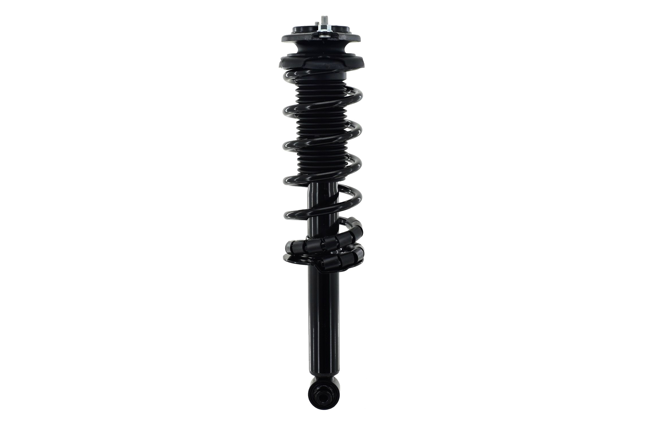 Suspension Strut and Coil Spring Assembly