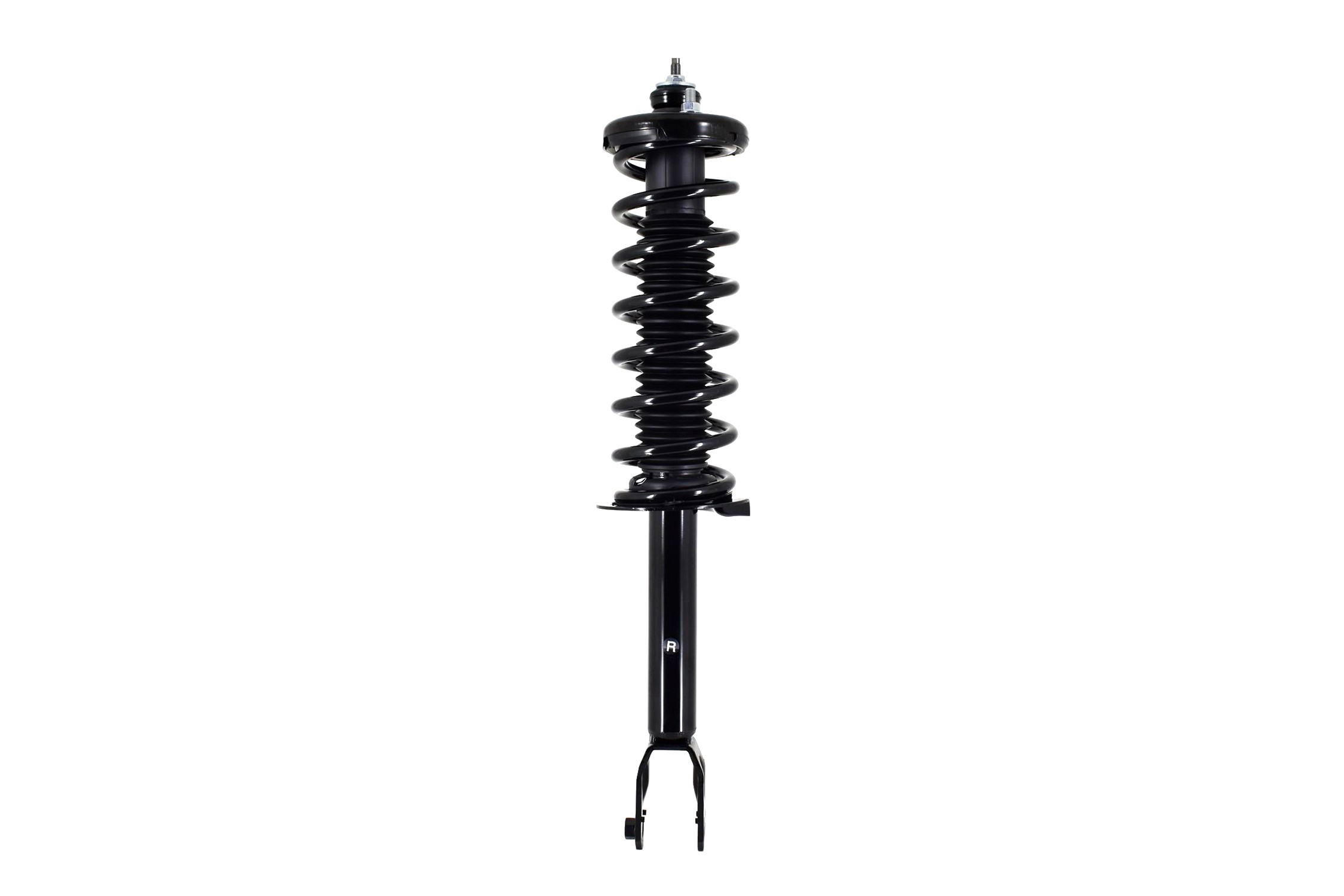 Suspension Strut and Coil Spring Assembly