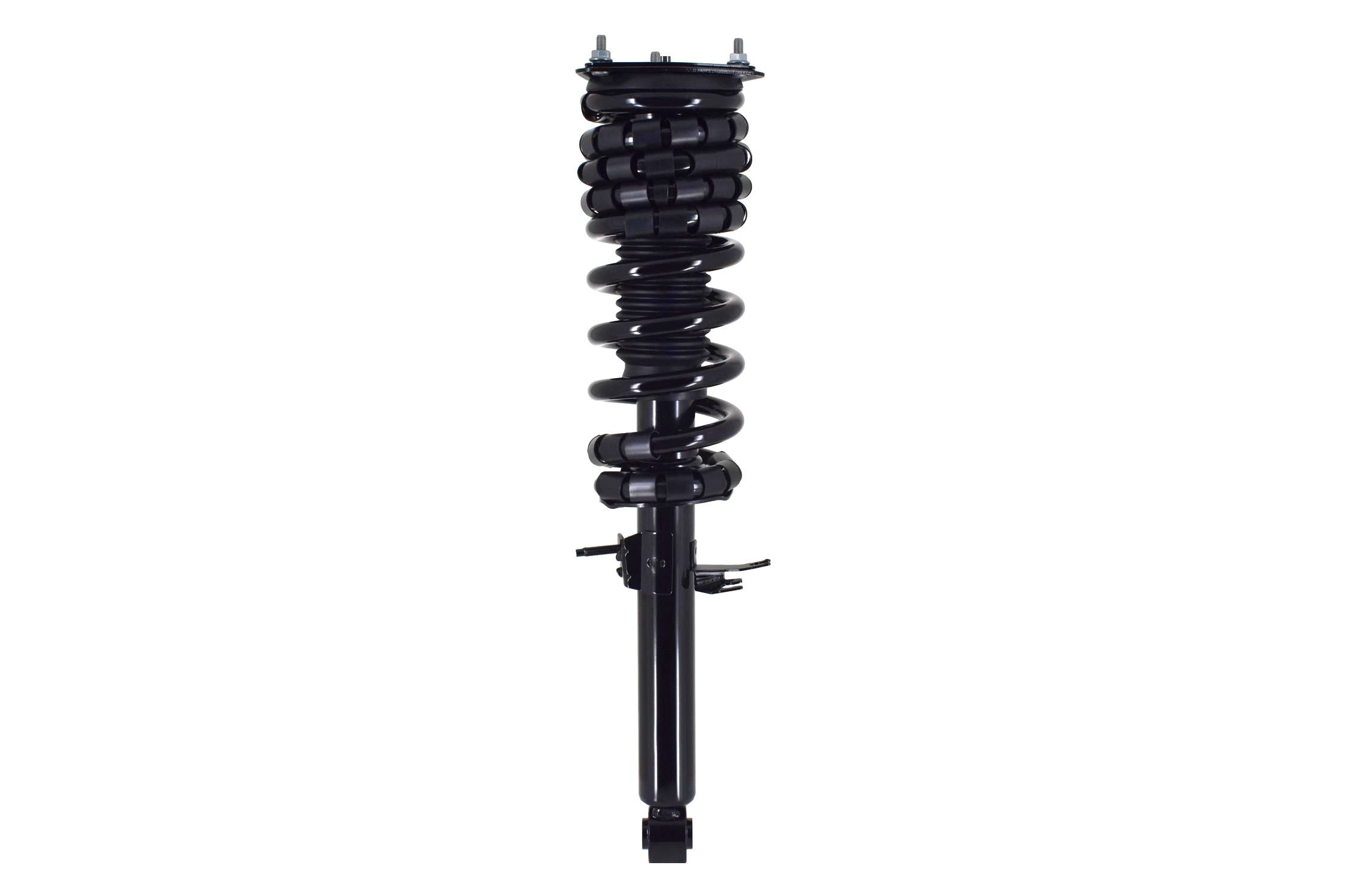 Suspension Strut and Coil Spring Assembly