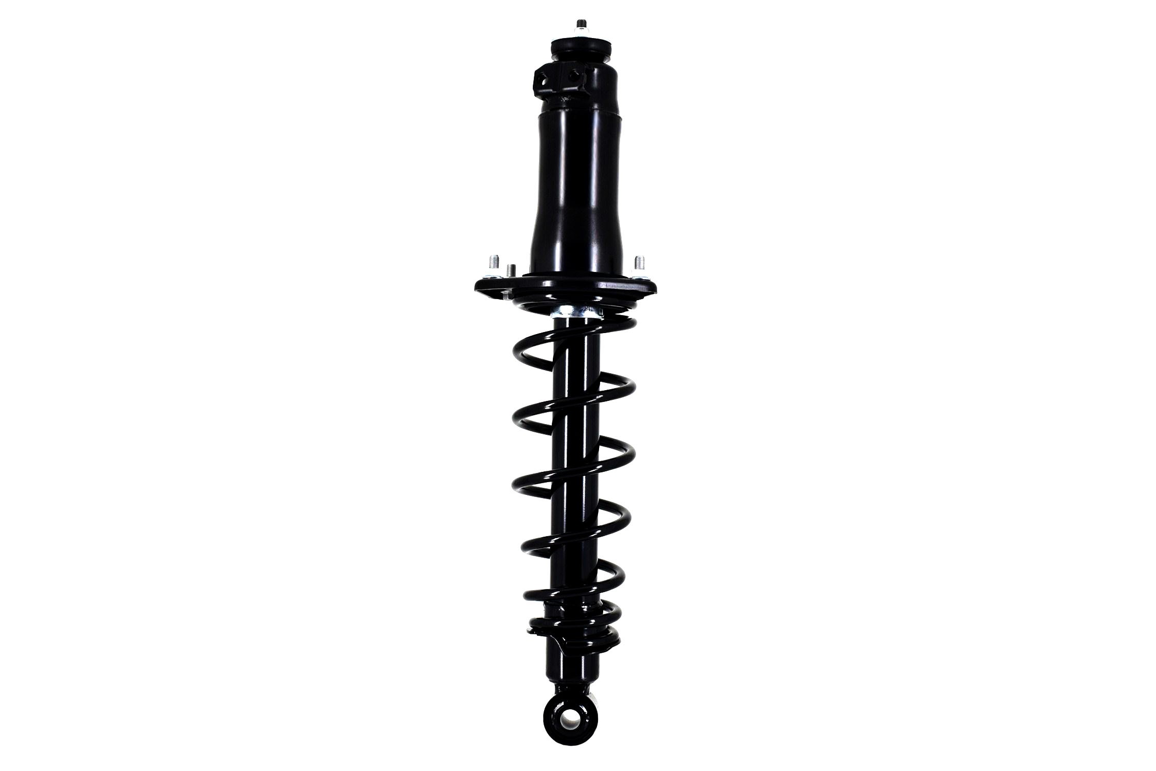 Suspension Strut and Coil Spring Assembly