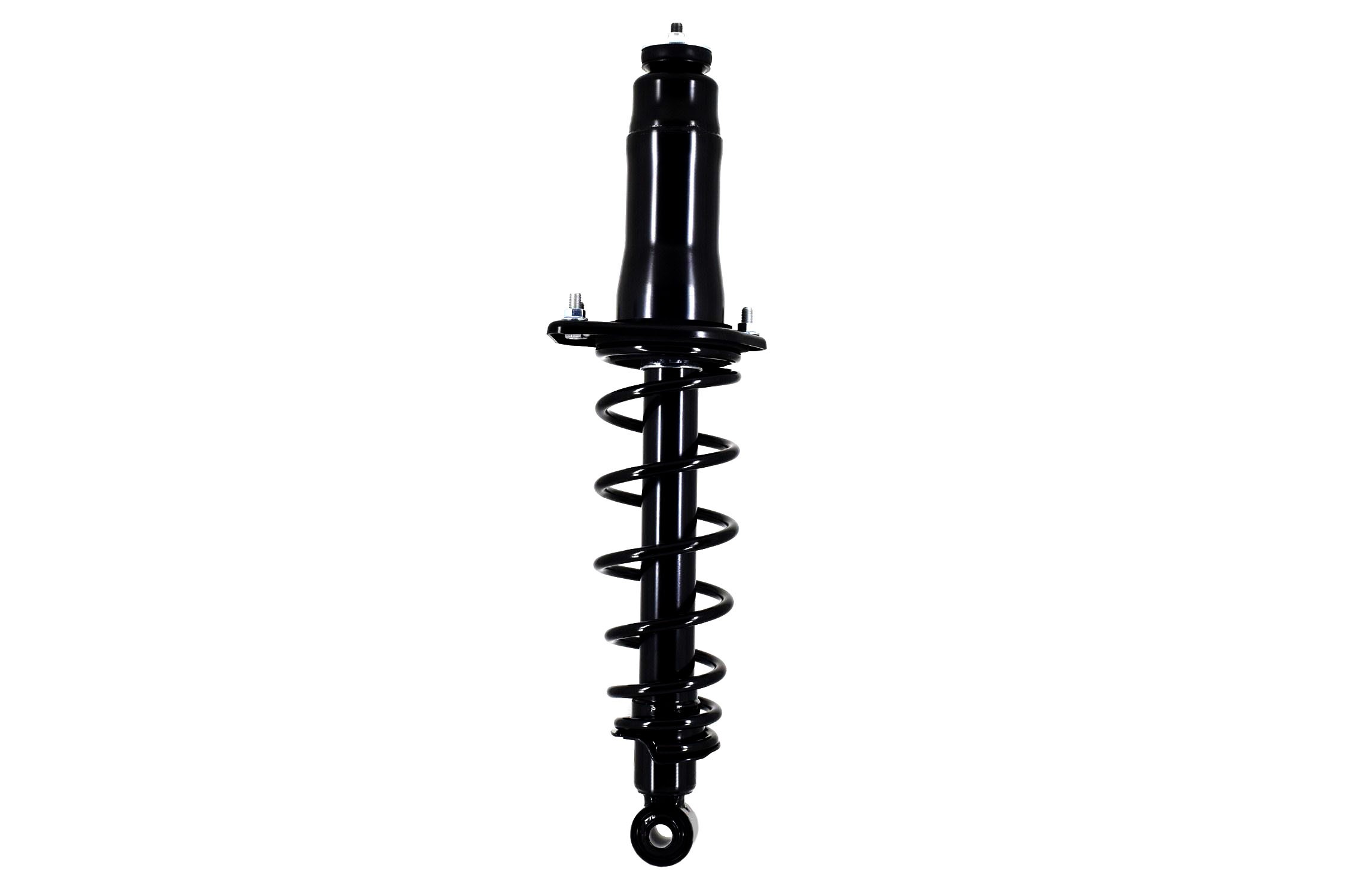 Suspension Strut and Coil Spring Assembly