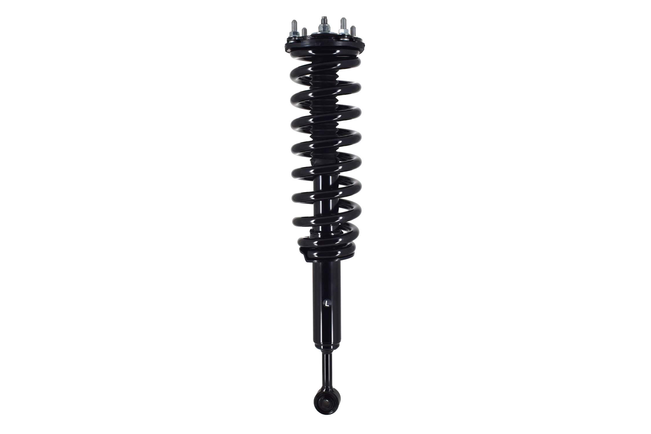 Suspension Strut and Coil Spring Assembly