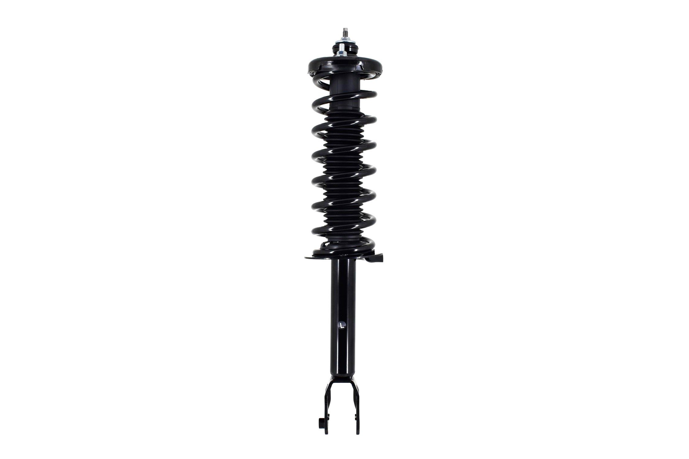Suspension Strut and Coil Spring Assembly