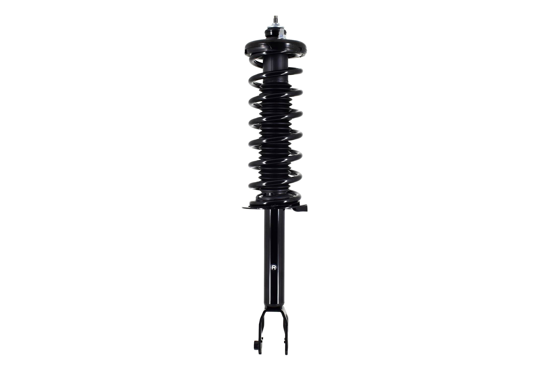 Suspension Strut and Coil Spring Assembly