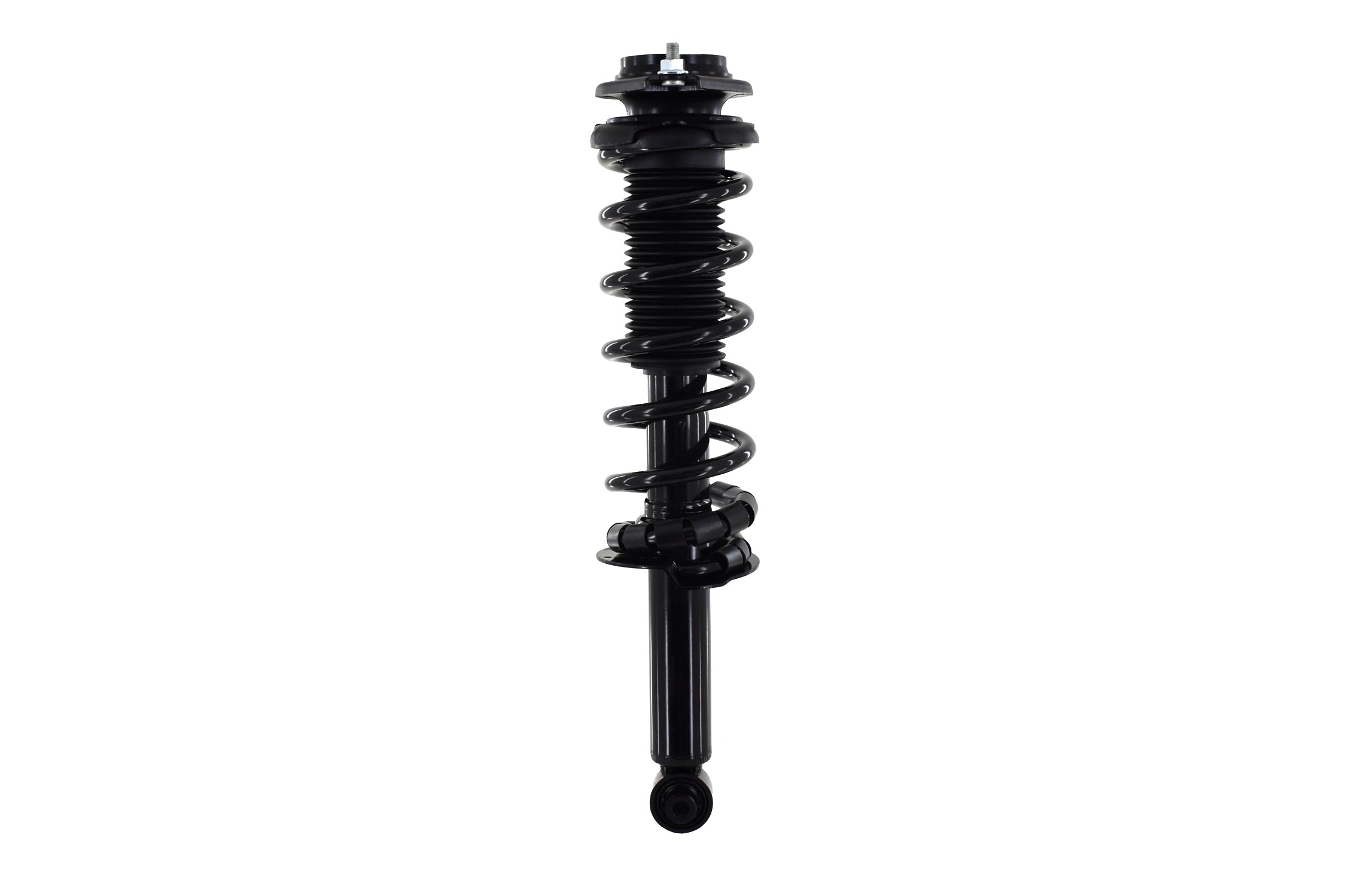 Suspension Strut and Coil Spring Assembly