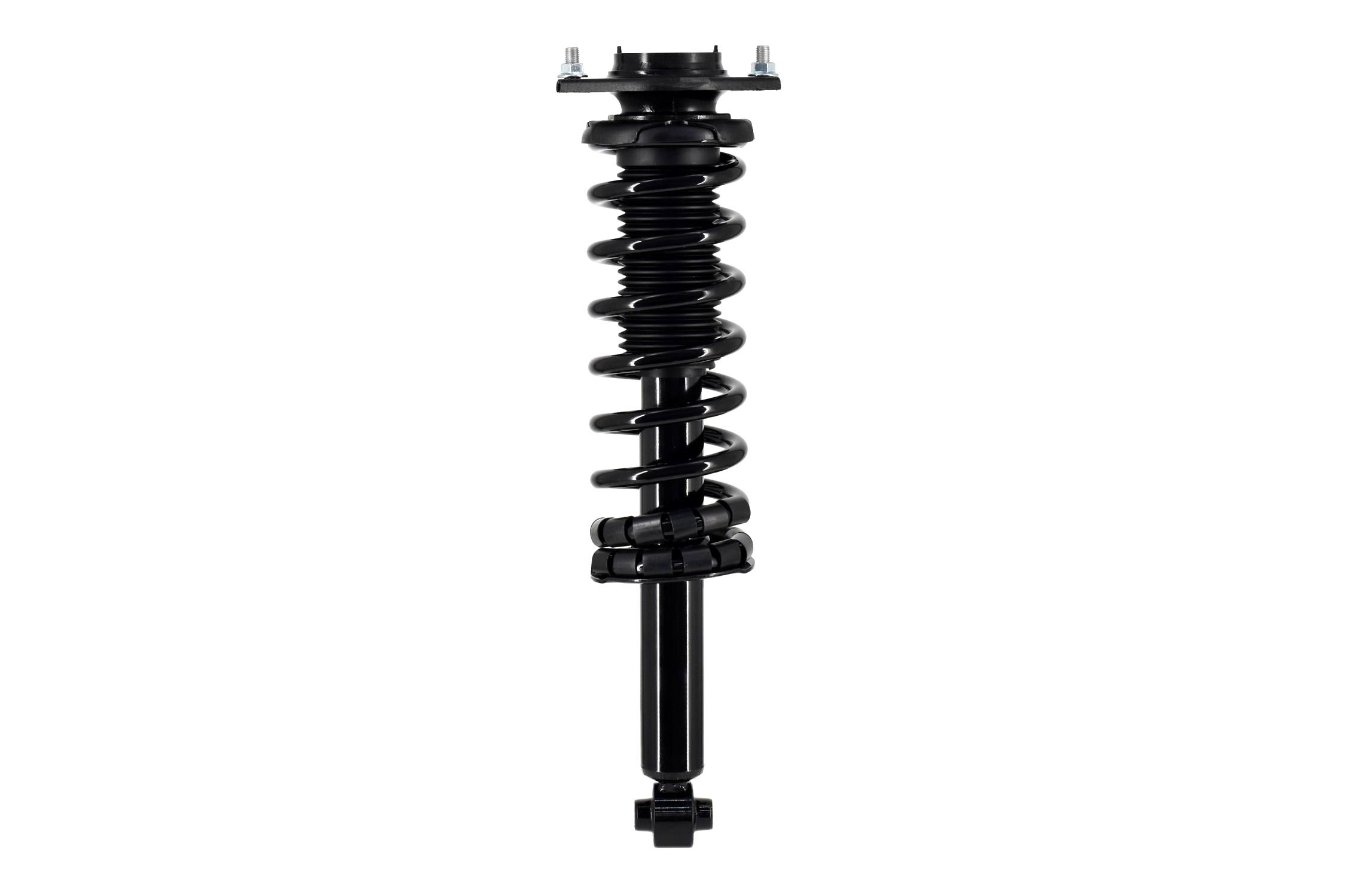 Suspension Strut and Coil Spring Assembly