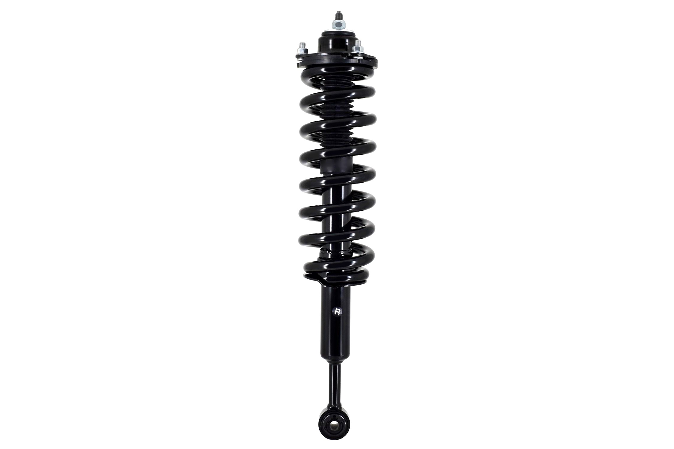 Suspension Strut and Coil Spring Assembly