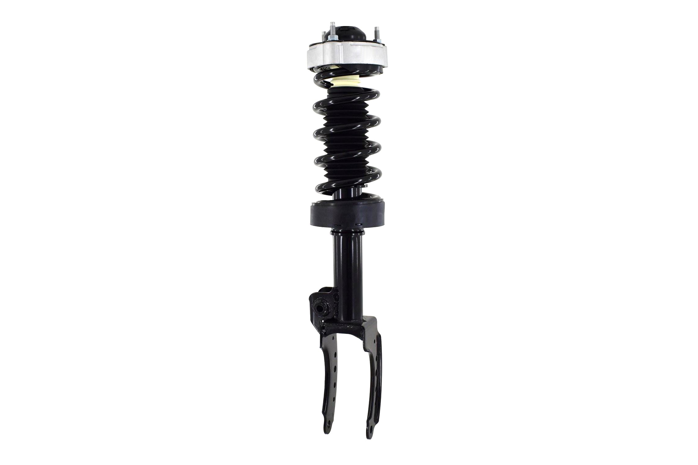 Suspension Strut and Coil Spring Assembly
