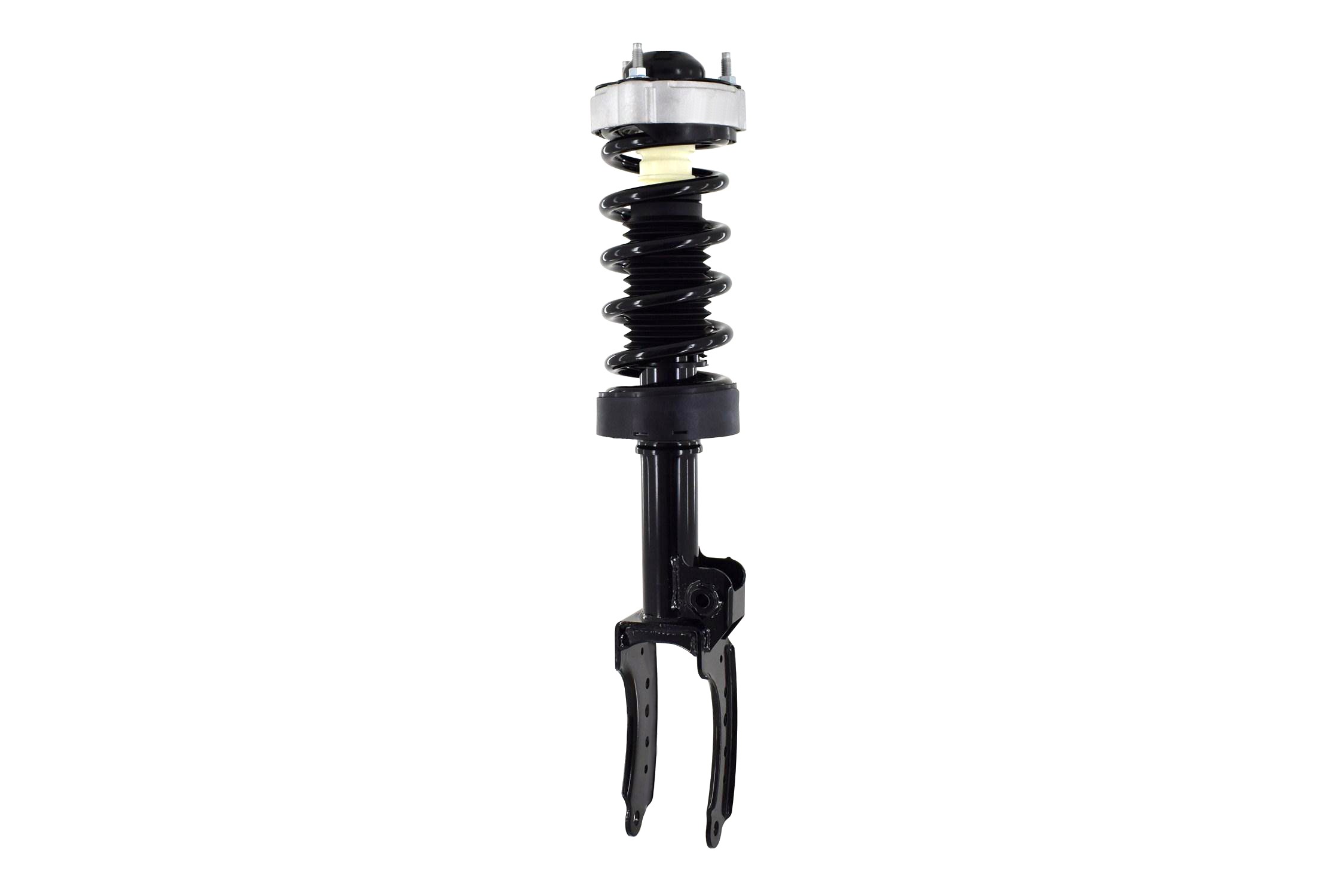 Suspension Strut and Coil Spring Assembly