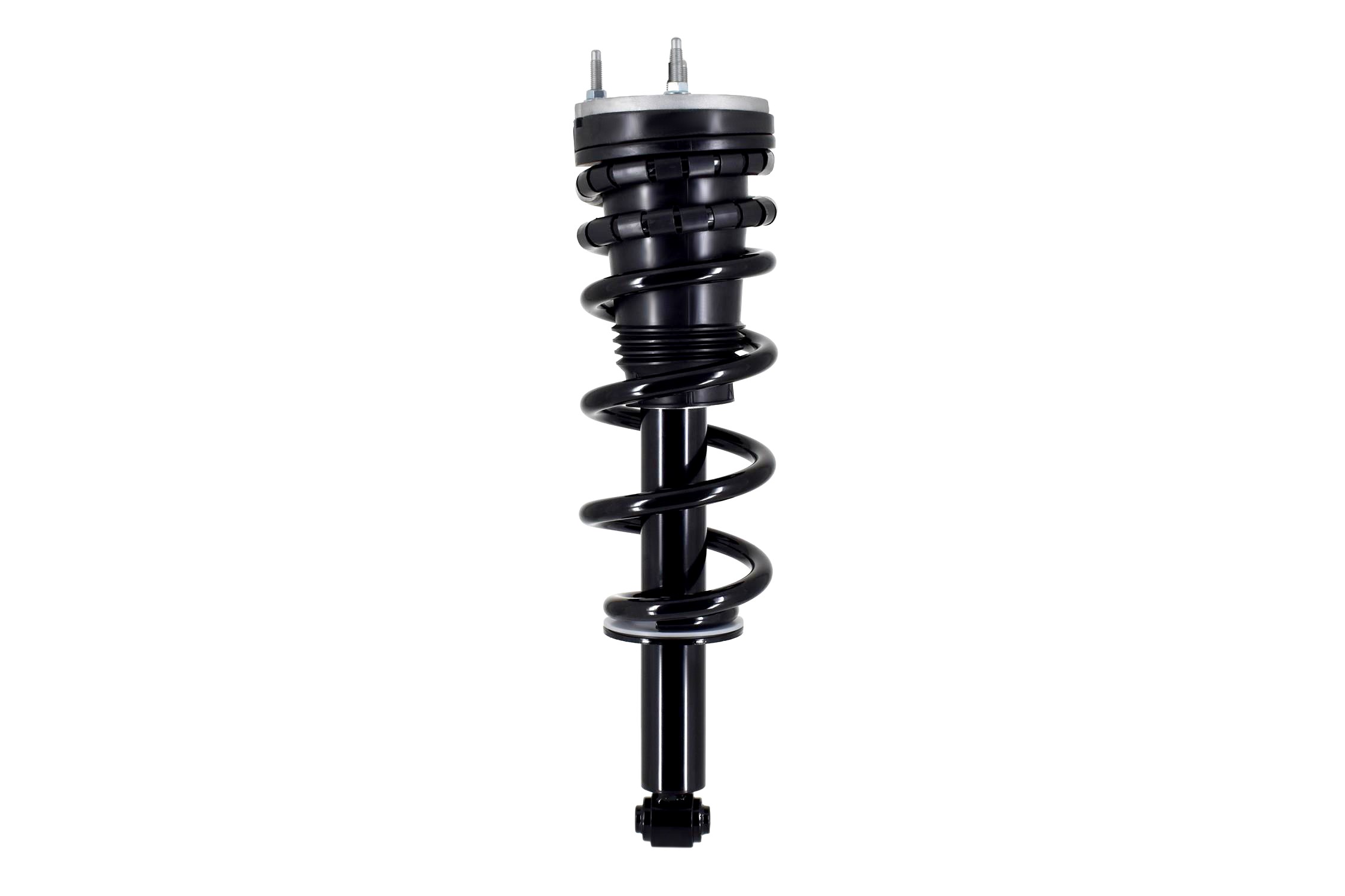 Suspension Strut and Coil Spring Assembly