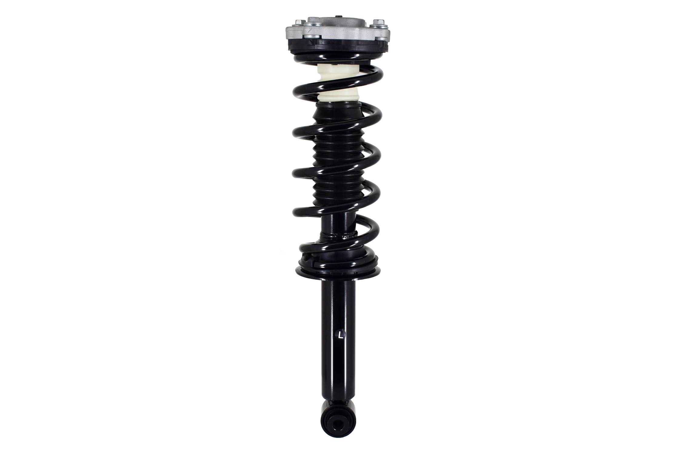 Suspension Strut and Coil Spring Assembly