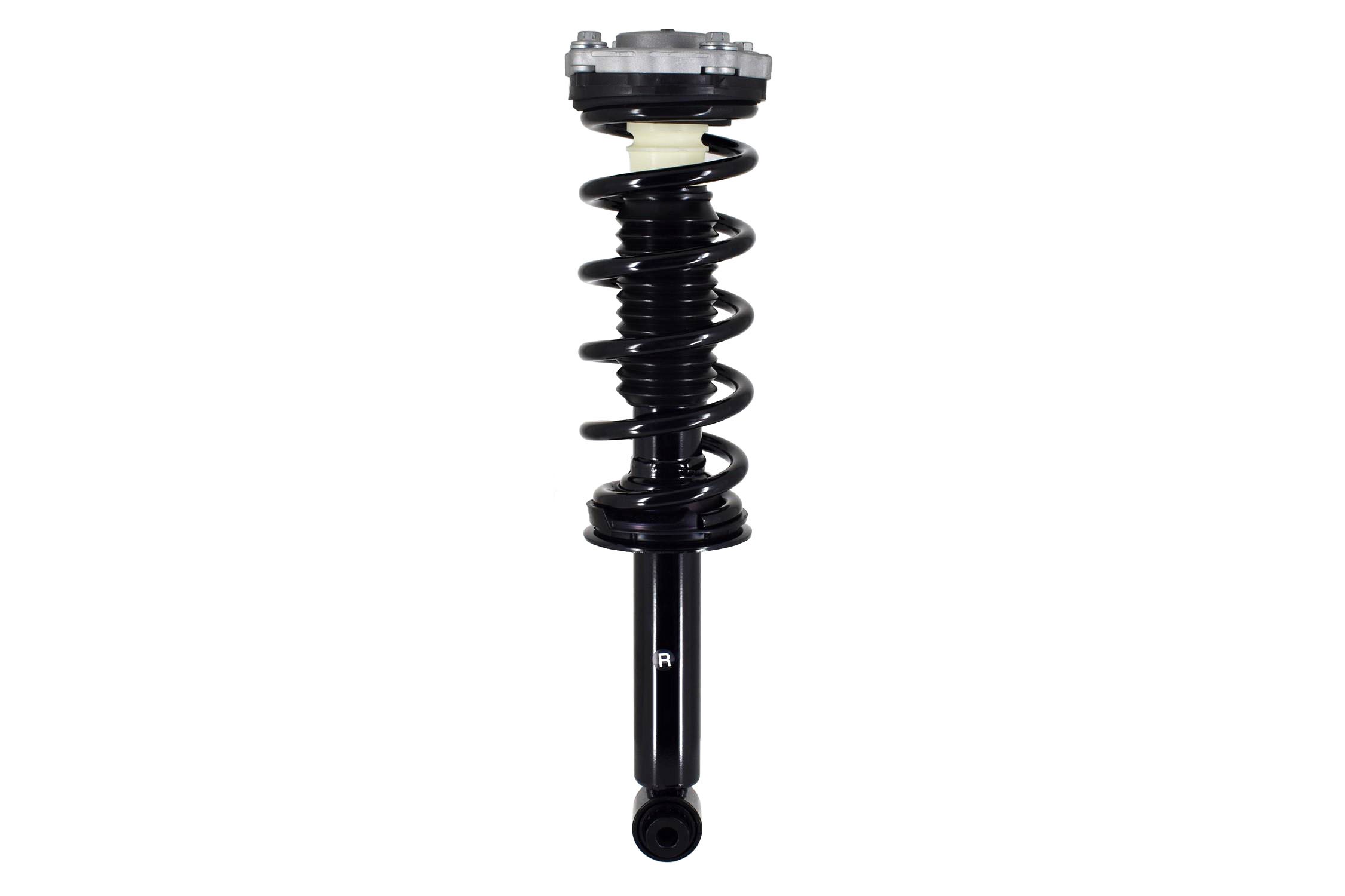 Suspension Strut and Coil Spring Assembly