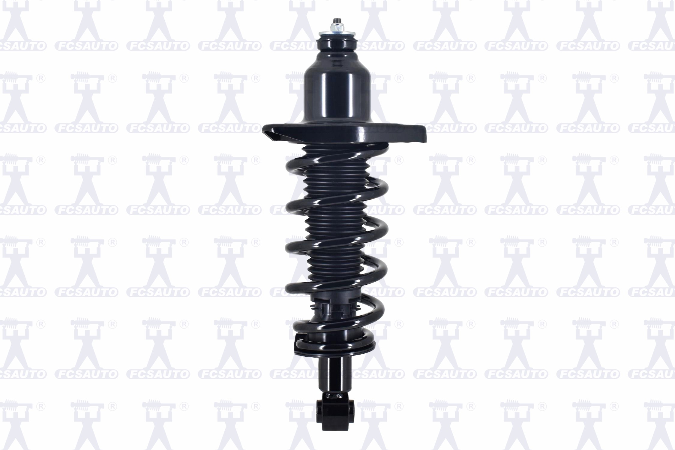 Suspension Strut and Coil Spring Assembly