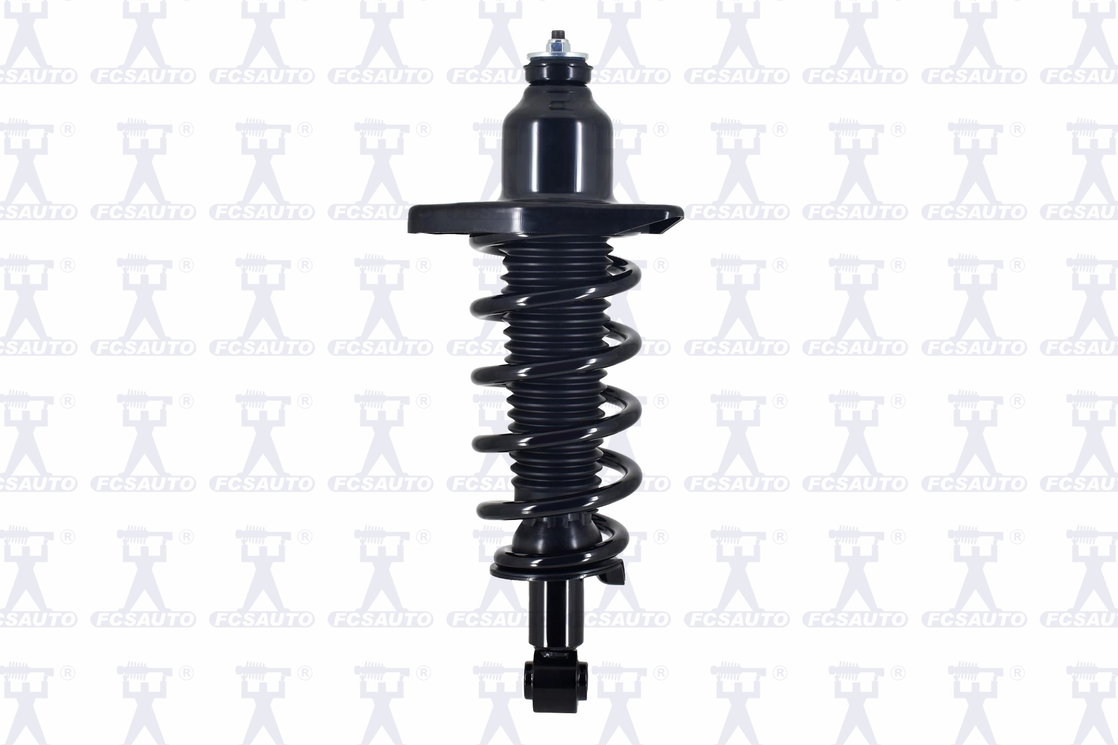 Suspension Strut and Coil Spring Assembly