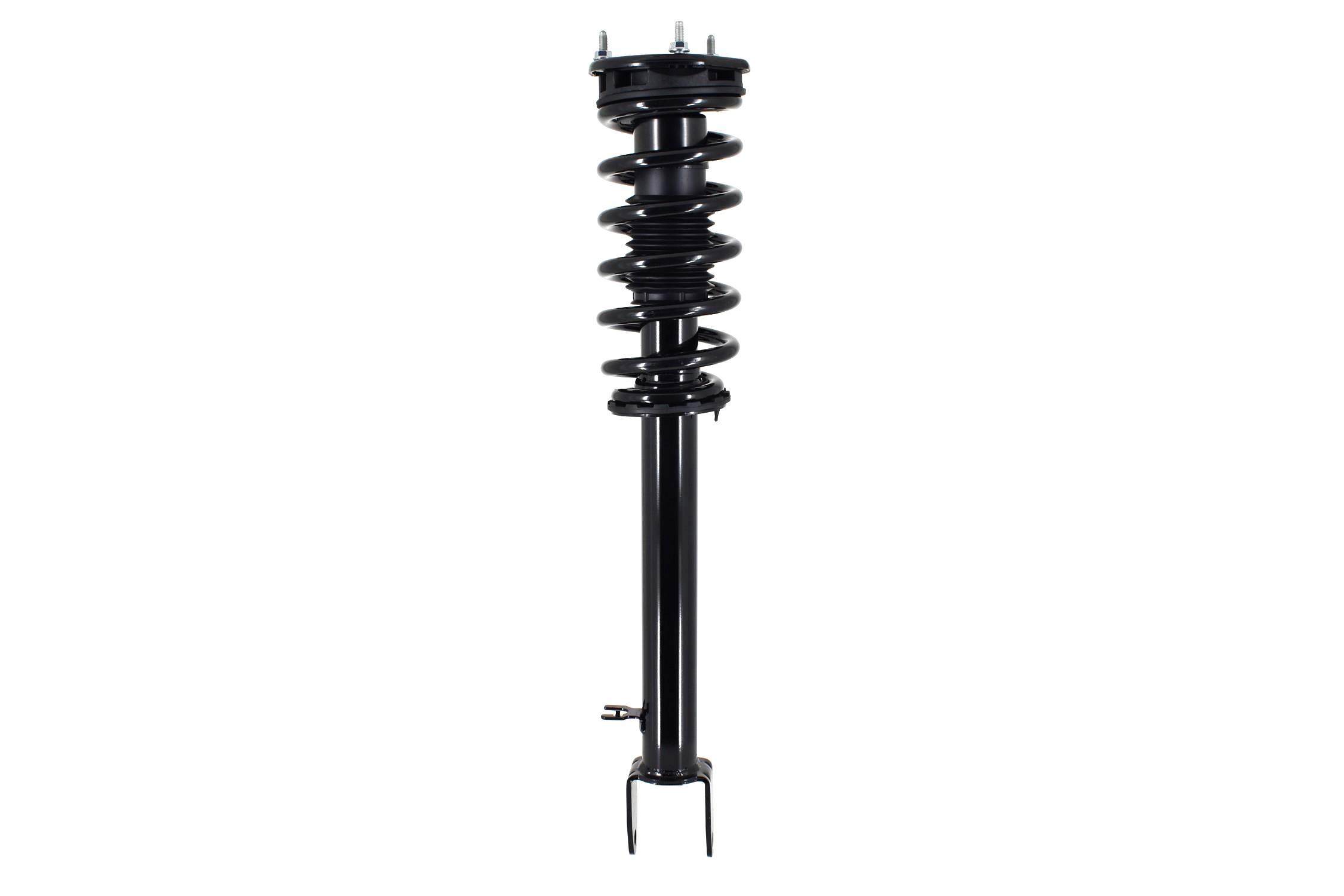 Suspension Strut and Coil Spring Assembly