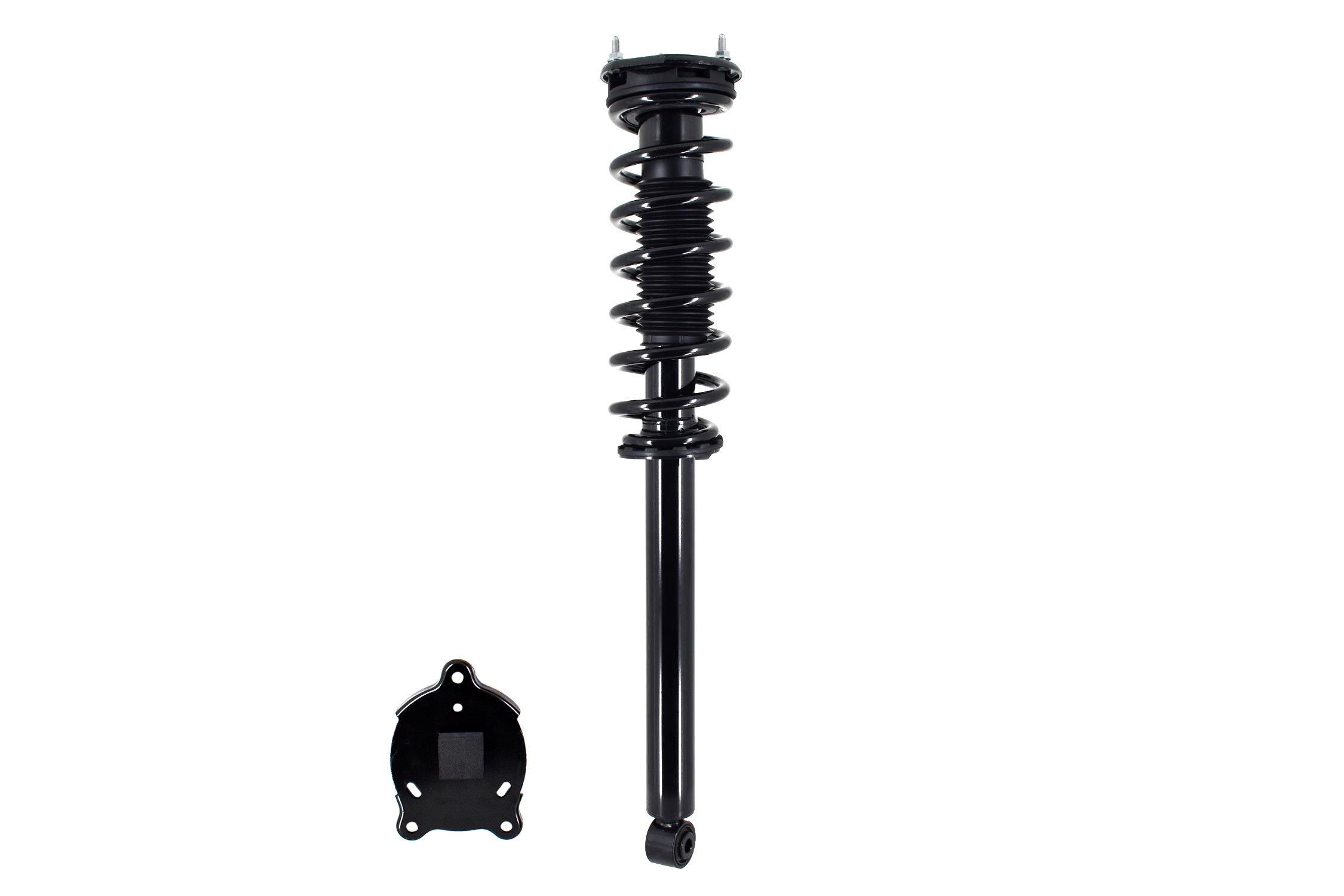 Suspension Strut and Coil Spring Assembly
