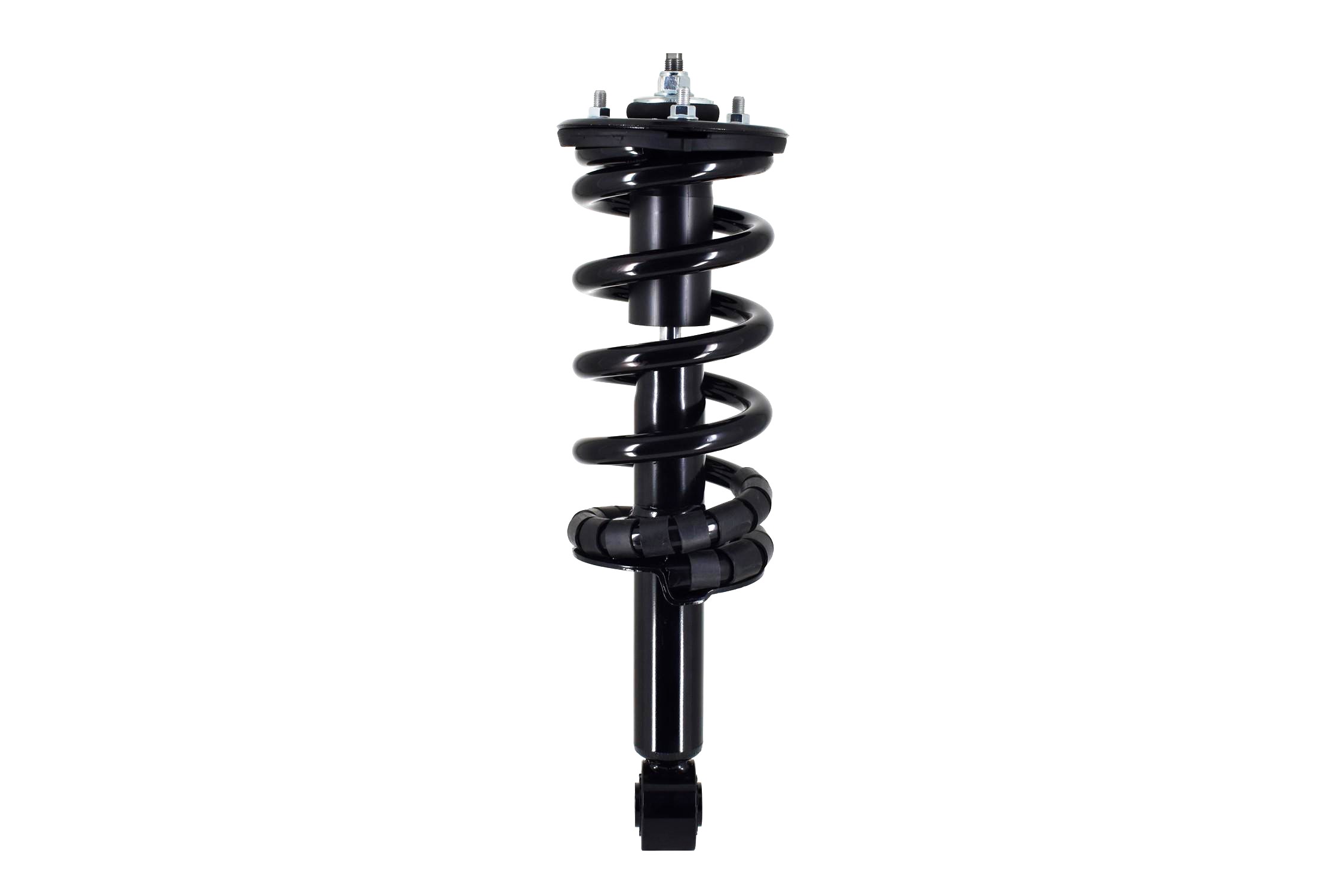 Suspension Strut and Coil Spring Assembly