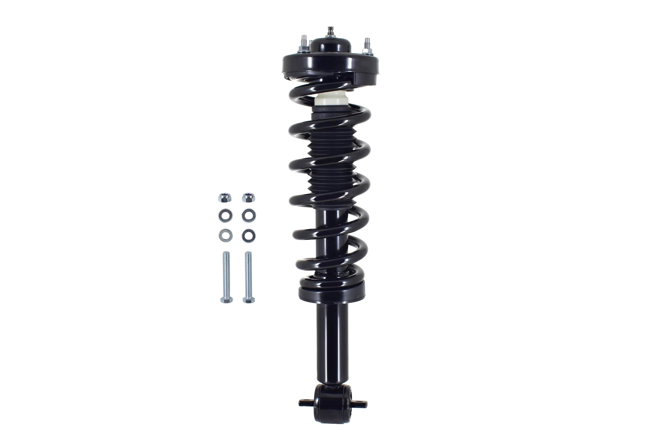 Suspension Strut and Coil Spring Assembly