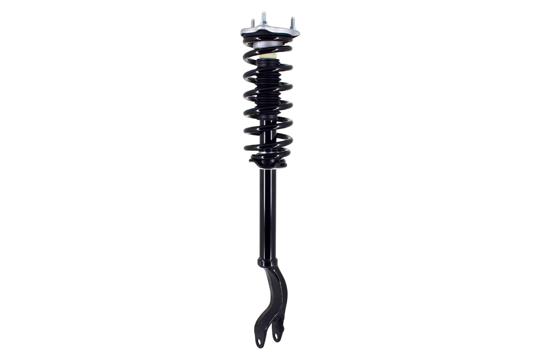 Suspension Strut and Coil Spring Assembly