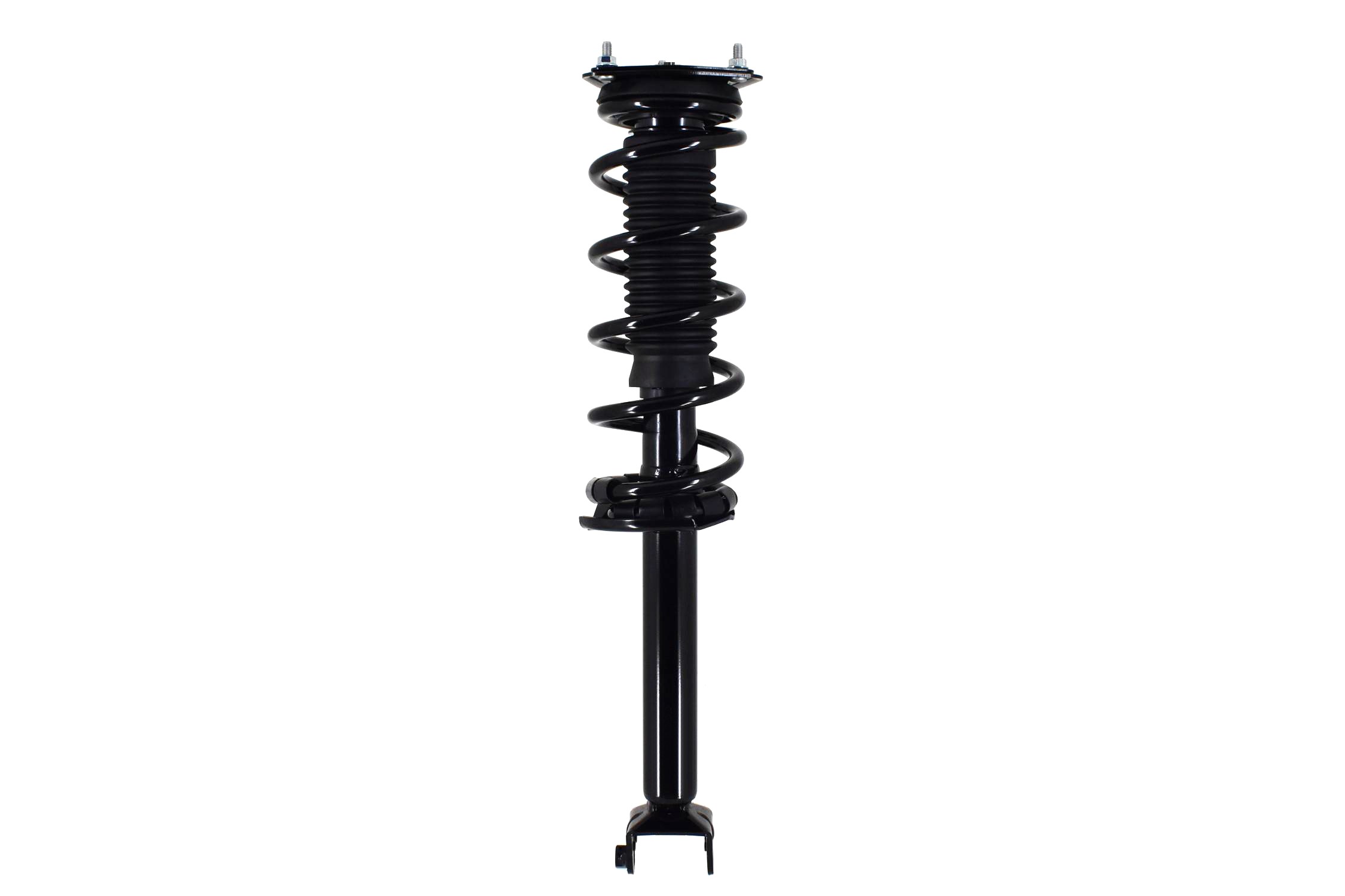 Suspension Strut and Coil Spring Assembly