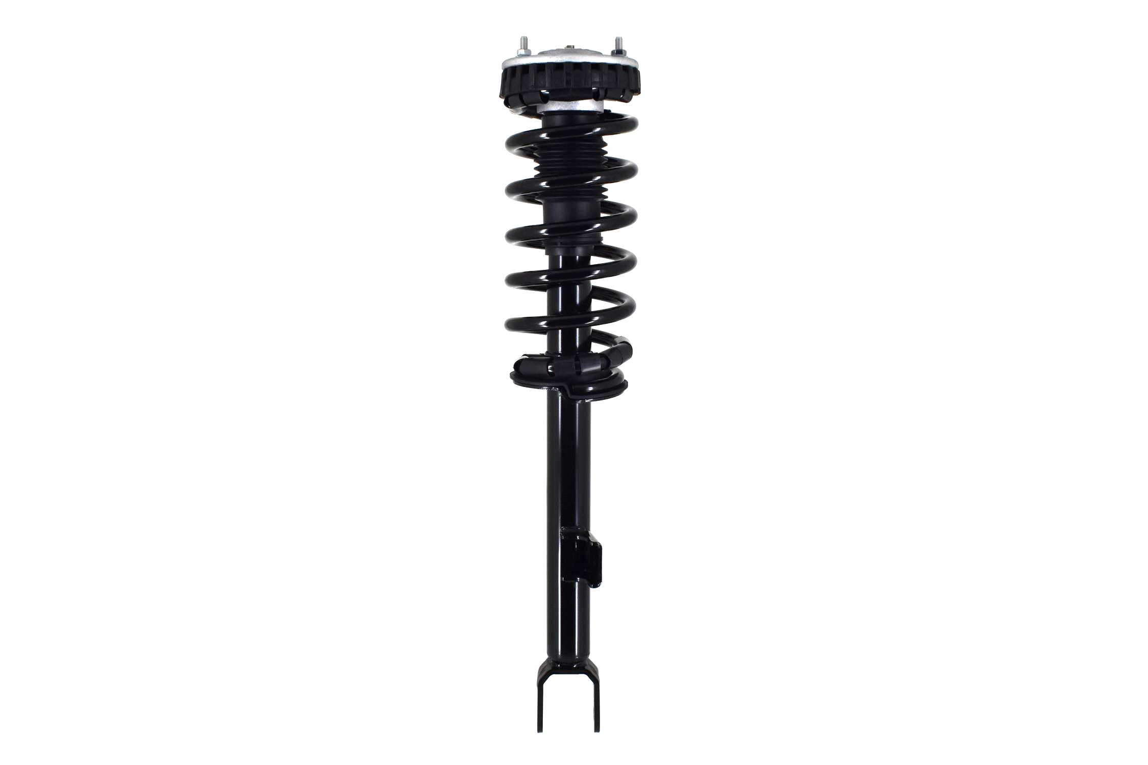 Suspension Strut and Coil Spring Assembly