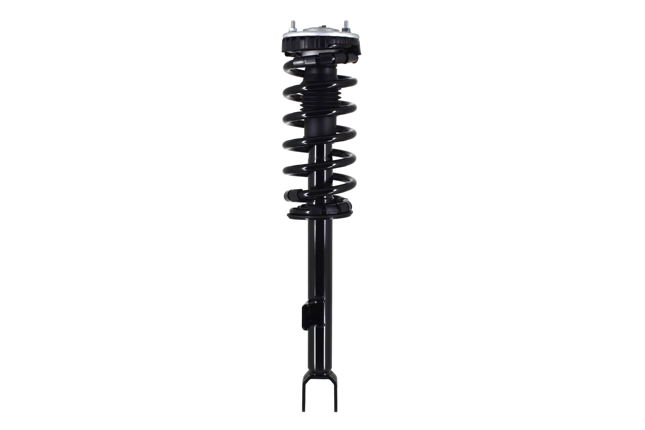 Suspension Strut and Coil Spring Assembly